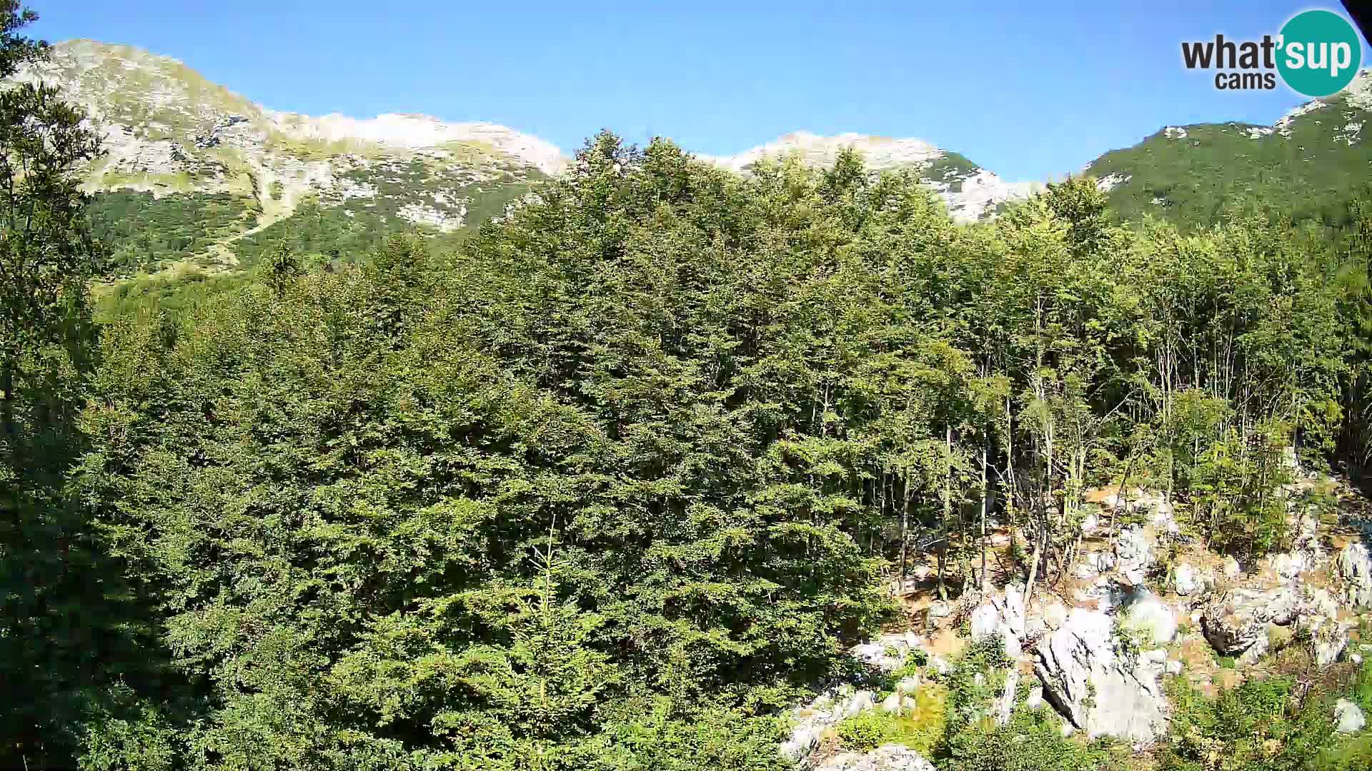 Livecam PLANINA RAZOR (1315) | vue sur Vogel et Globoko