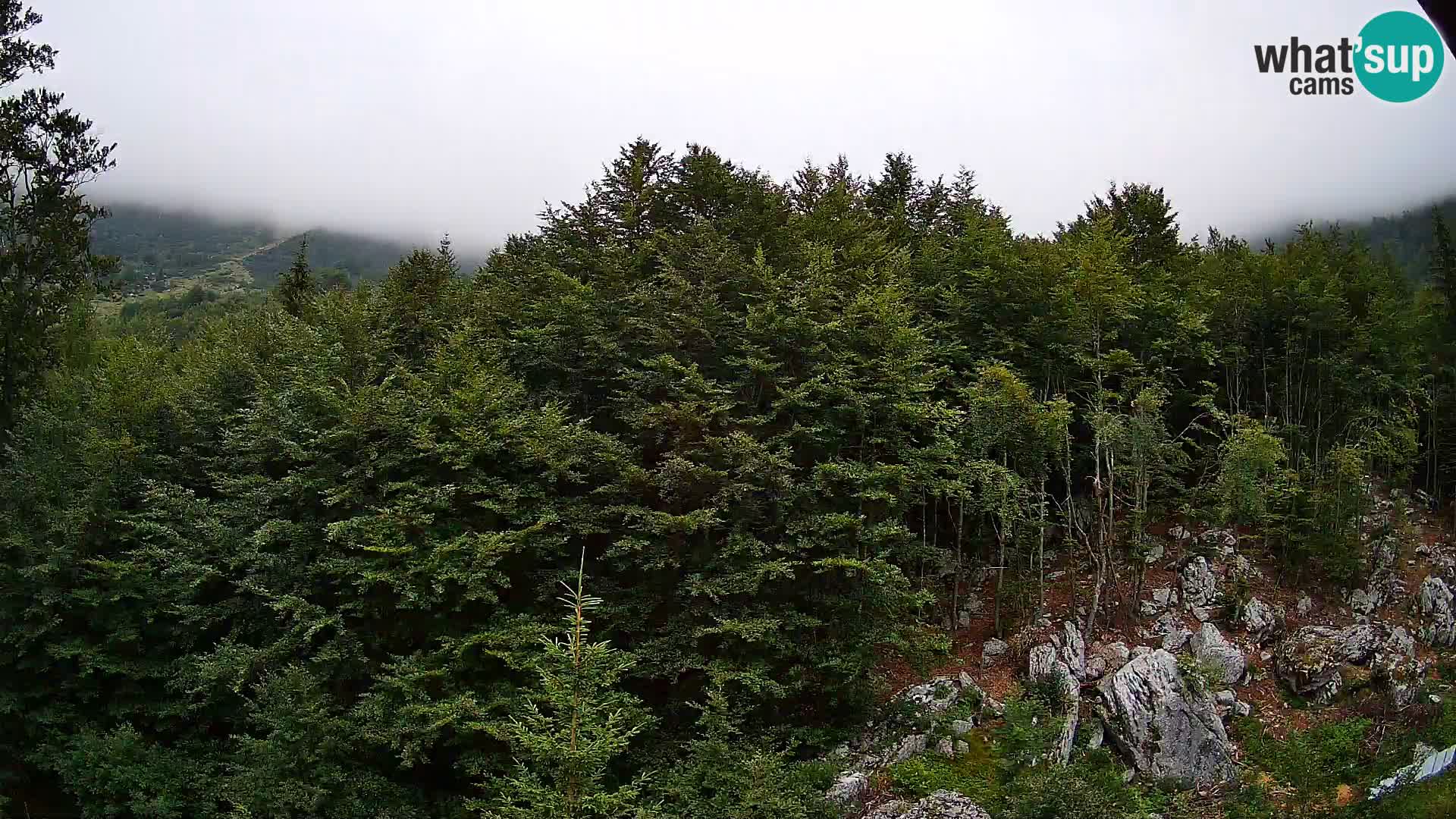 PLANINA RAZOR Live Cam (1315) | vista su Vogel e Globoko