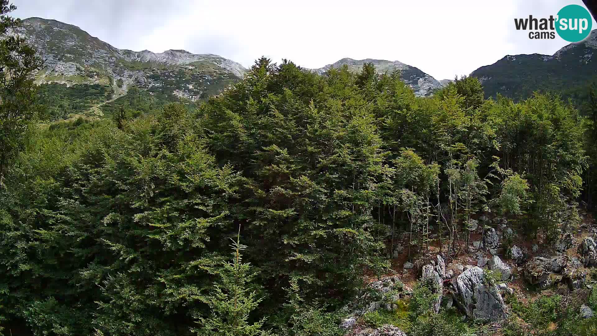 Webcam PLANINA RAZOR (1315) | Blick auf Vogel und Globoko