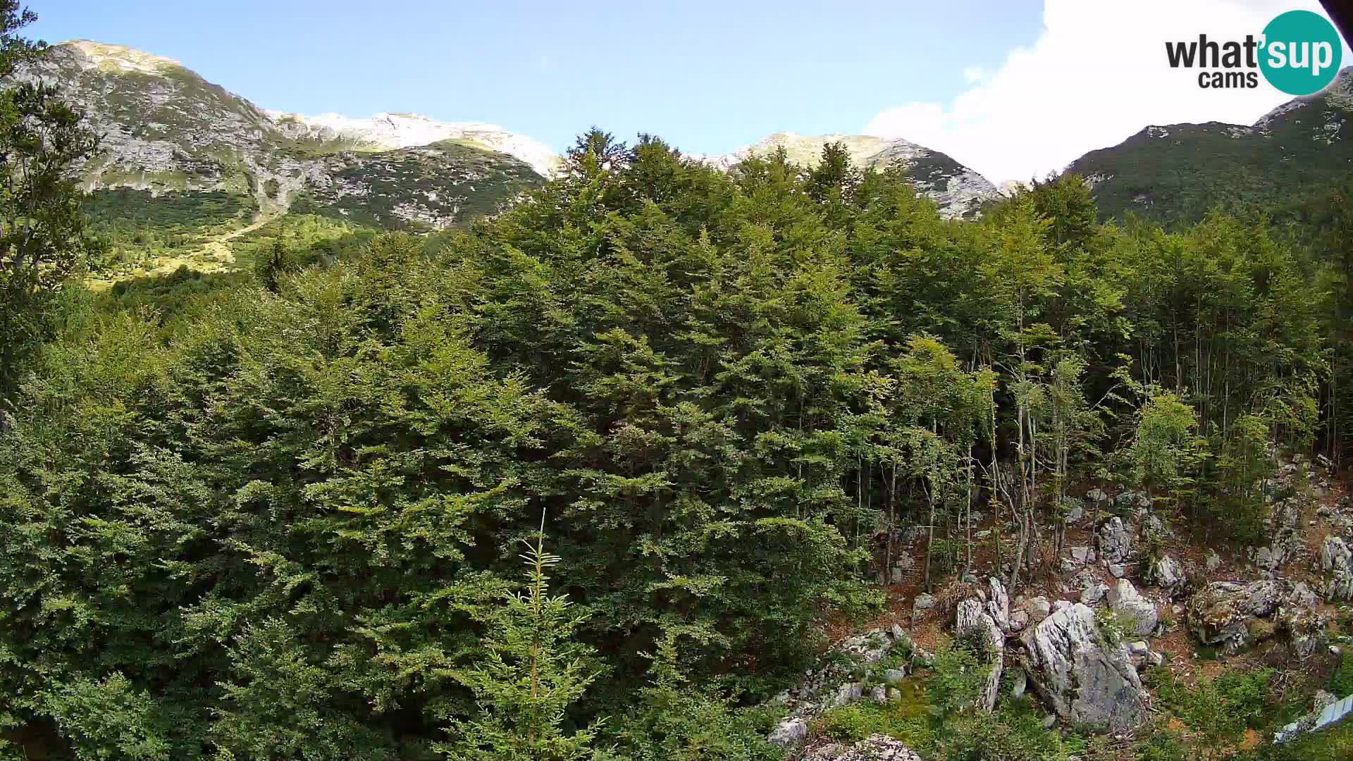 Webcam PLANINA RAZOR (1315) | Blick auf Vogel und Globoko