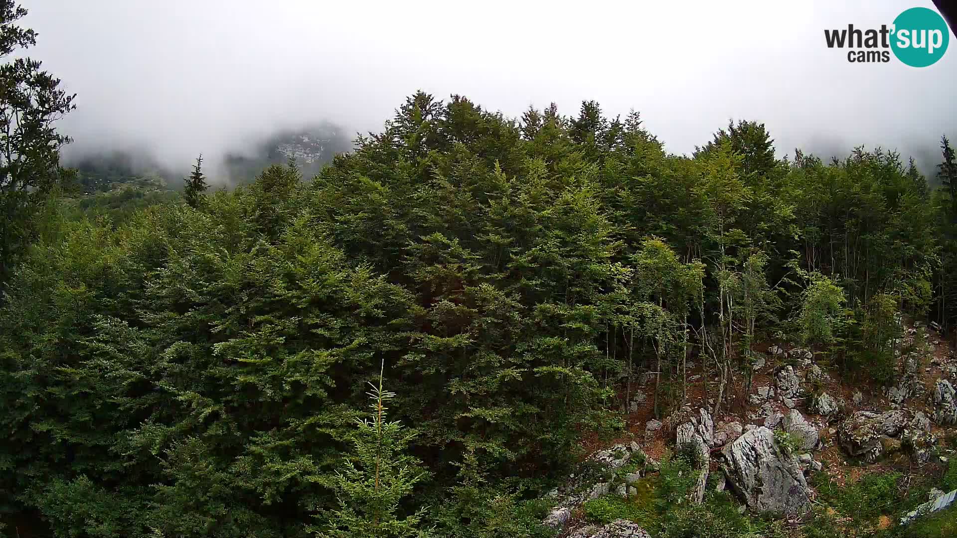 Livecam PLANINA RAZOR (1315) | vue sur Vogel et Globoko