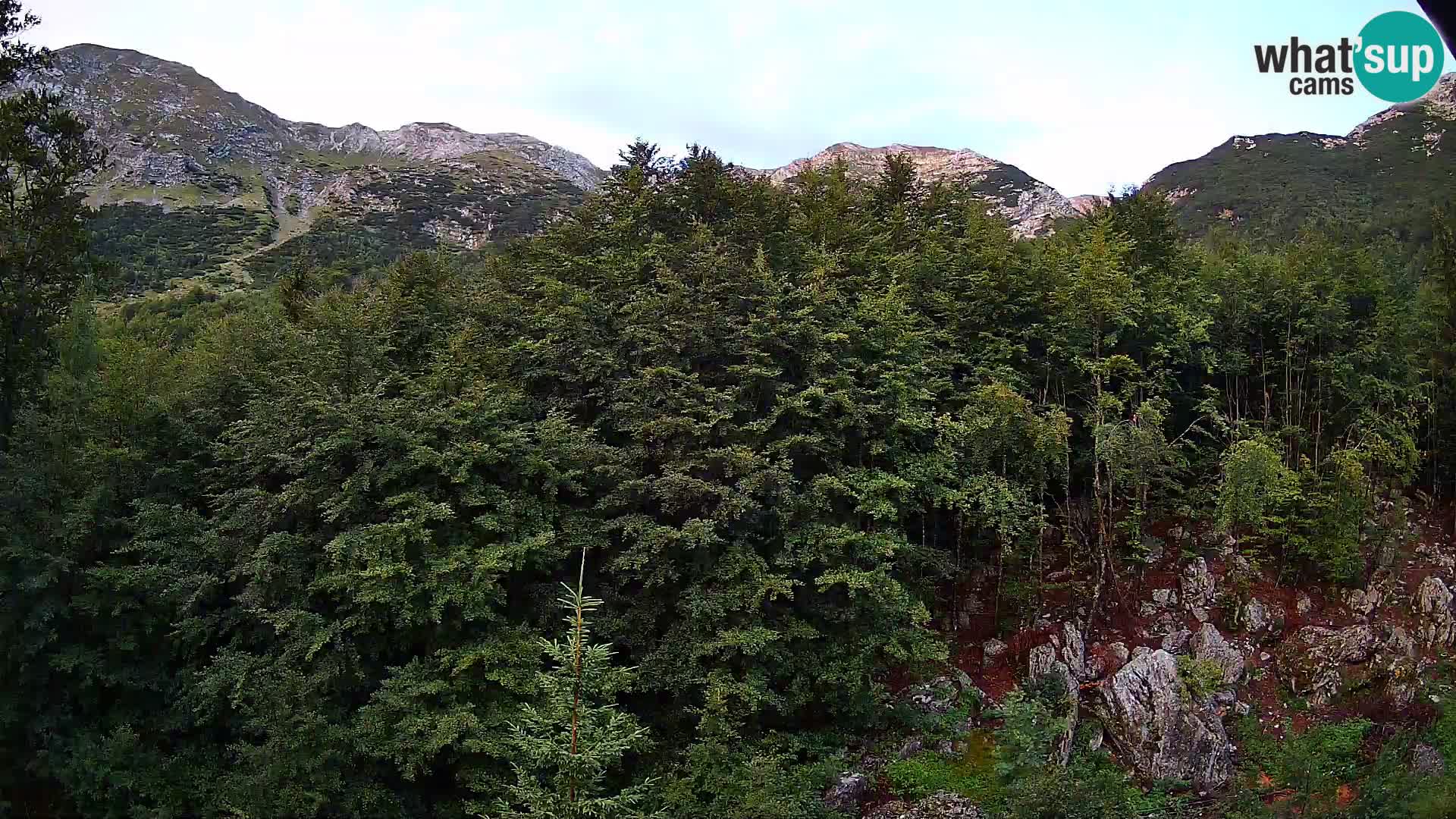 Livecam PLANINA RAZOR (1315) | vue sur Vogel et Globoko