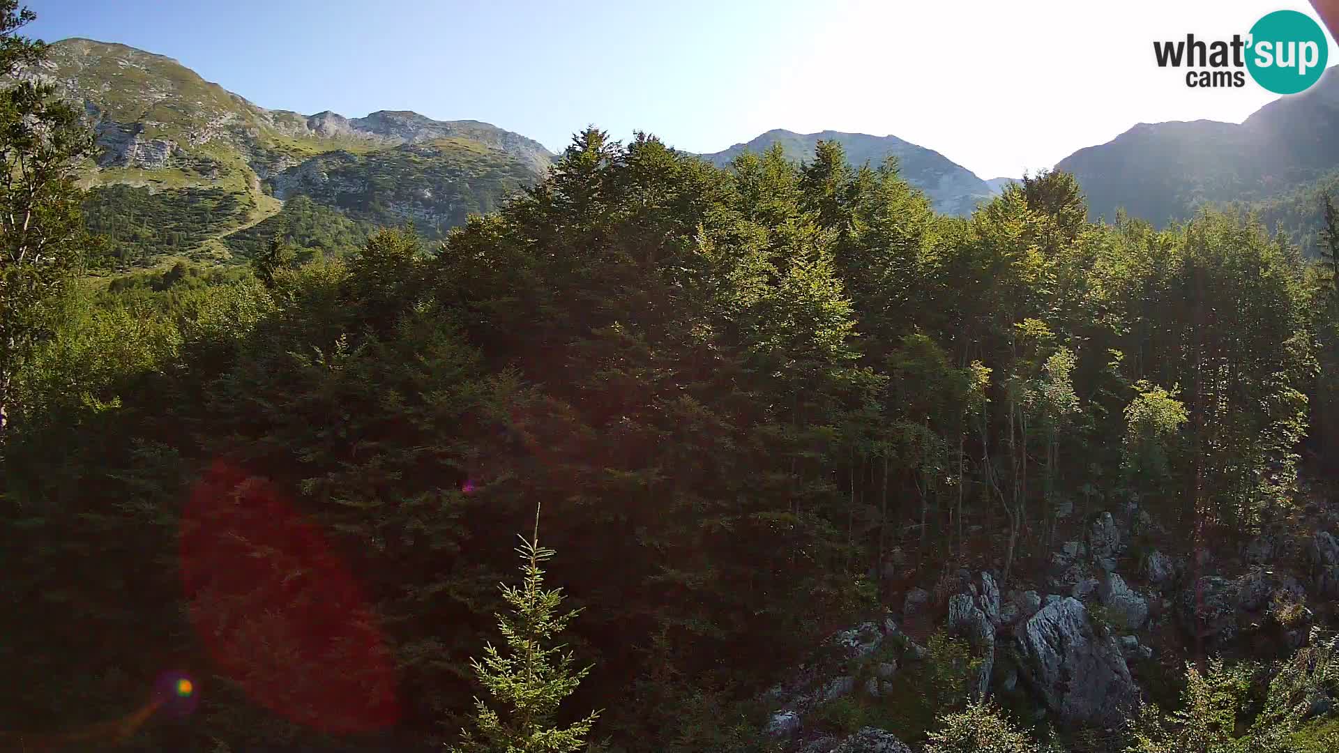 PLANINA RAZOR Live Cam (1315) | vista su Vogel e Globoko