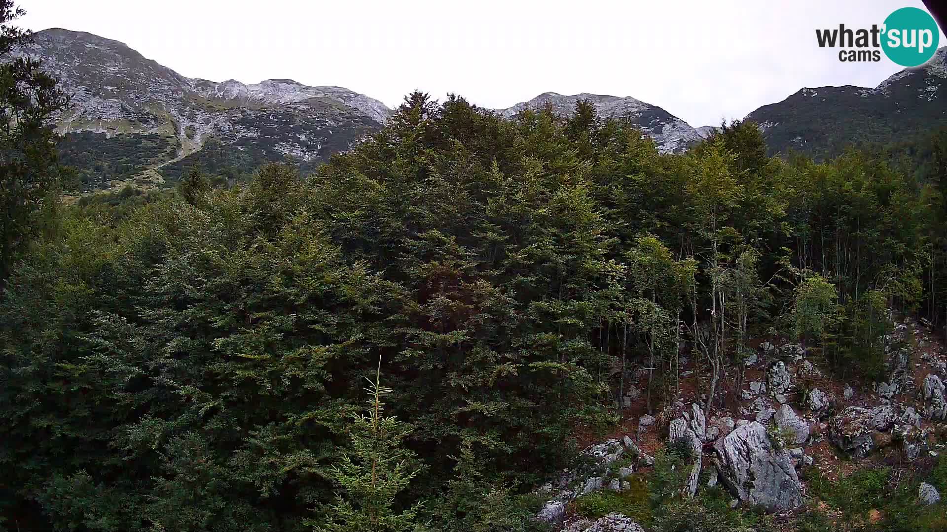 Webcam PLANINA RAZOR (1315) | Blick auf Vogel und Globoko