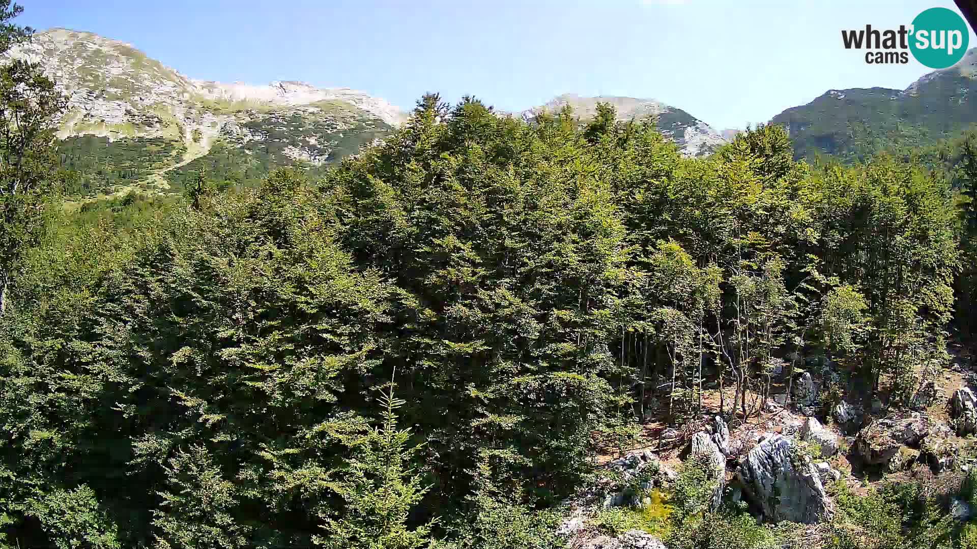 PLANINA RAZOR Live Cam (1315) | vista su Vogel e Globoko