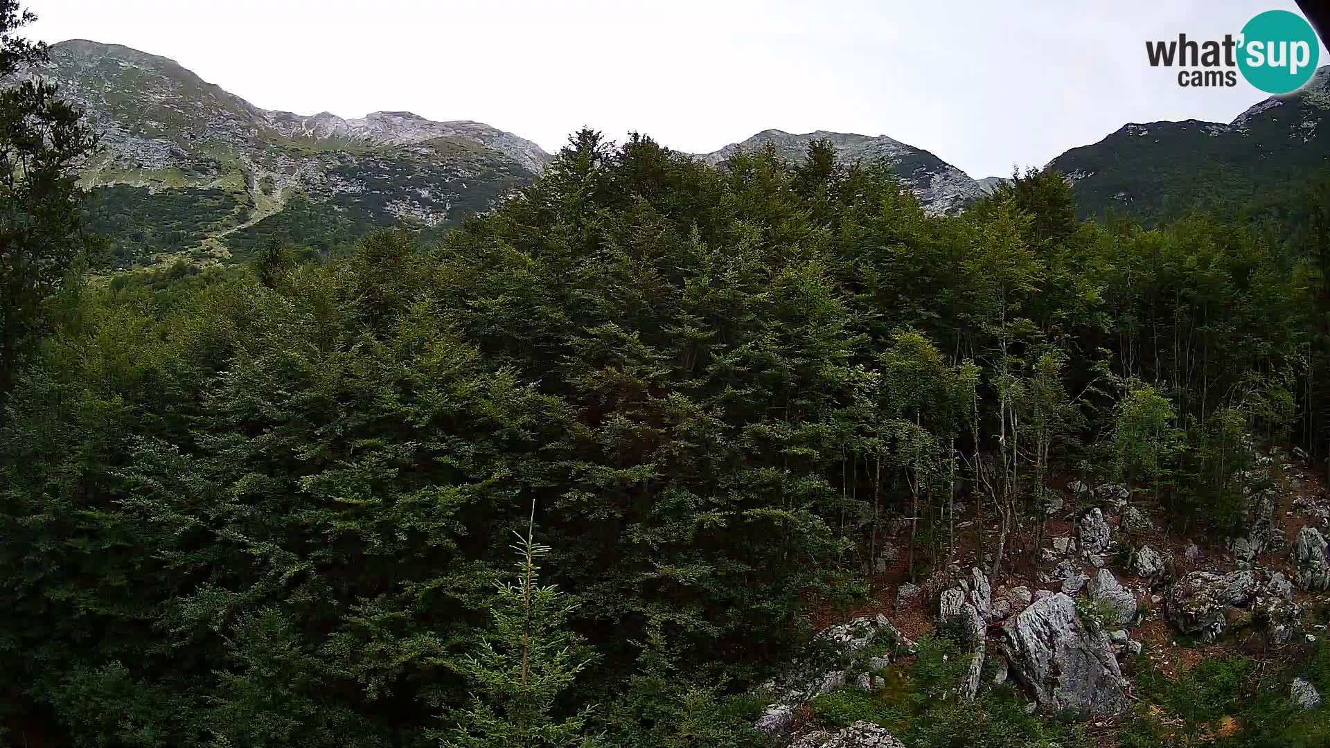 Cámara web PLANINA RAZOR (1315) | vista a Vogel y Globoko