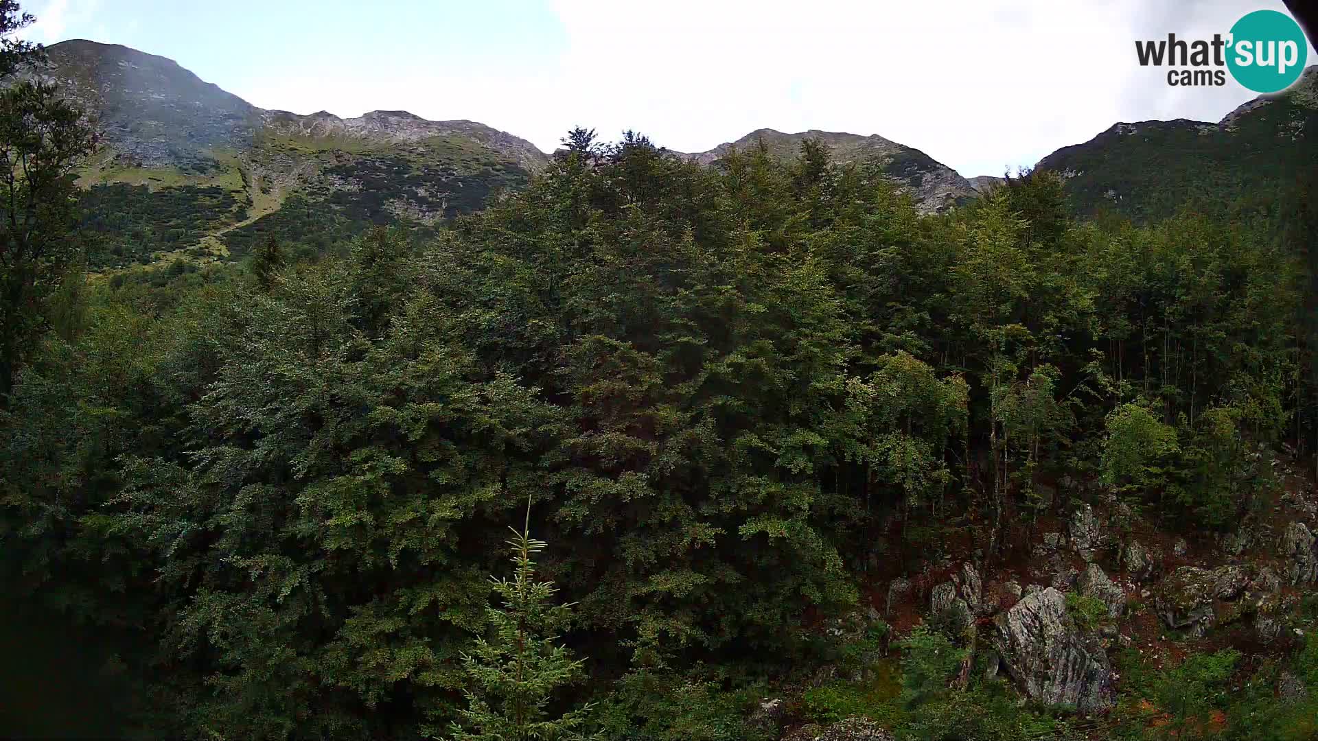 PLANINA RAZOR Live Cam (1315) | vista su Vogel e Globoko