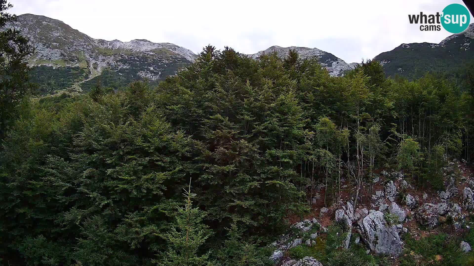 Webcam PLANINA RAZOR (1315) | Blick auf Vogel und Globoko