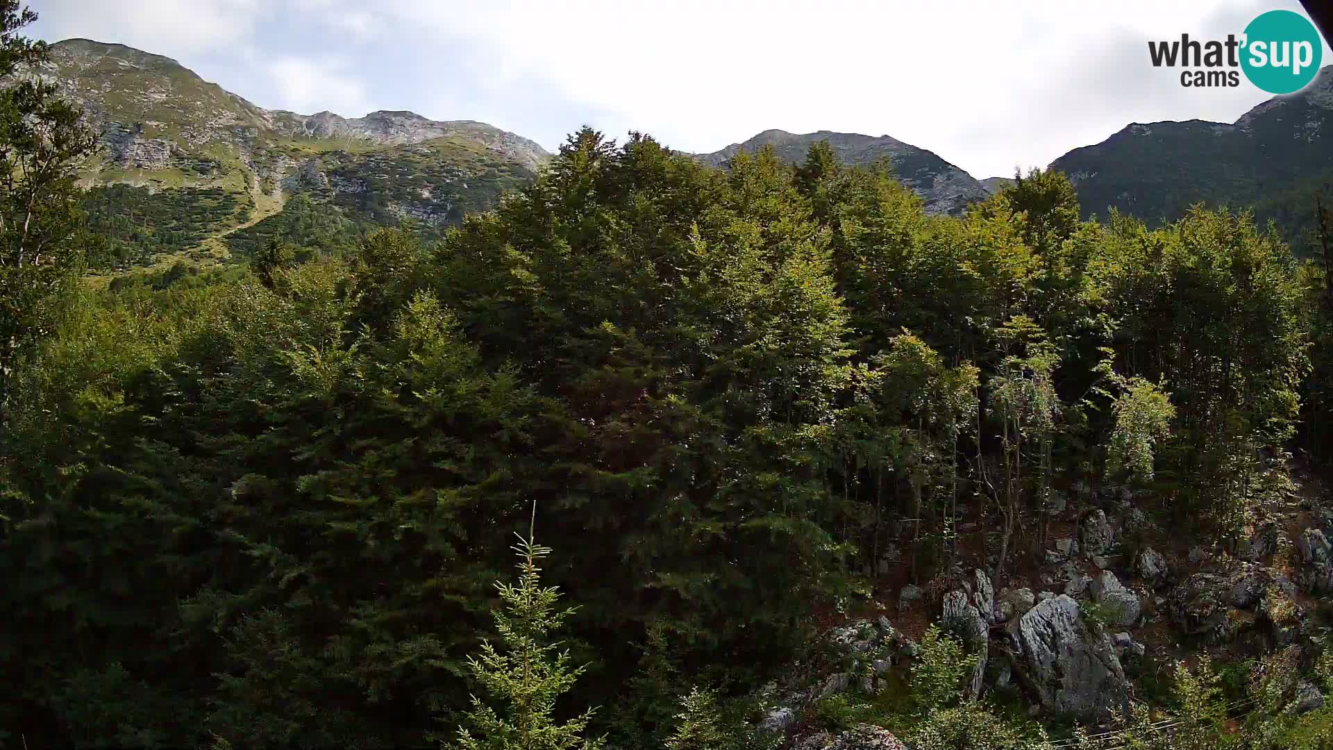 PLANINA RAZOR webcam (1315) | view to Vogel and Globoko