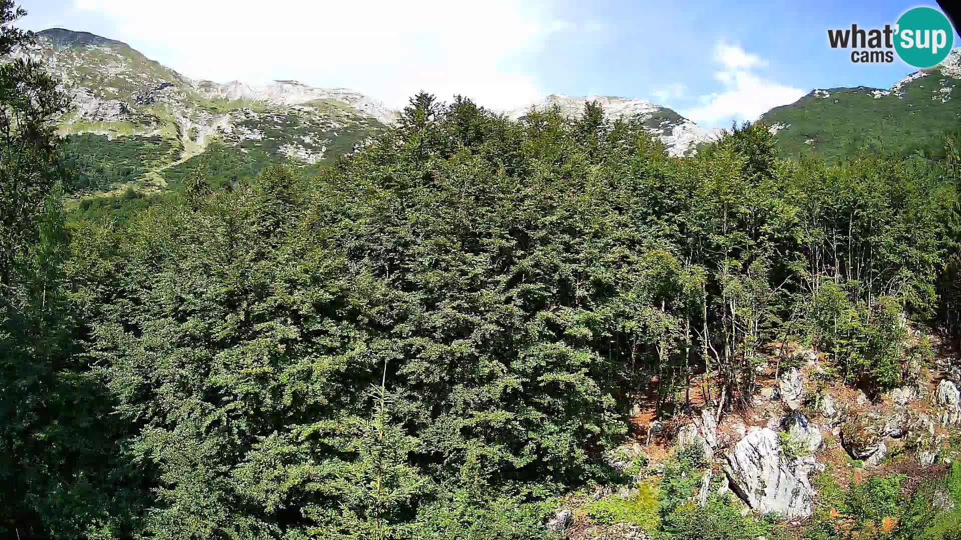 Webcam PLANINA RAZOR (1315) | Blick auf Vogel und Globoko