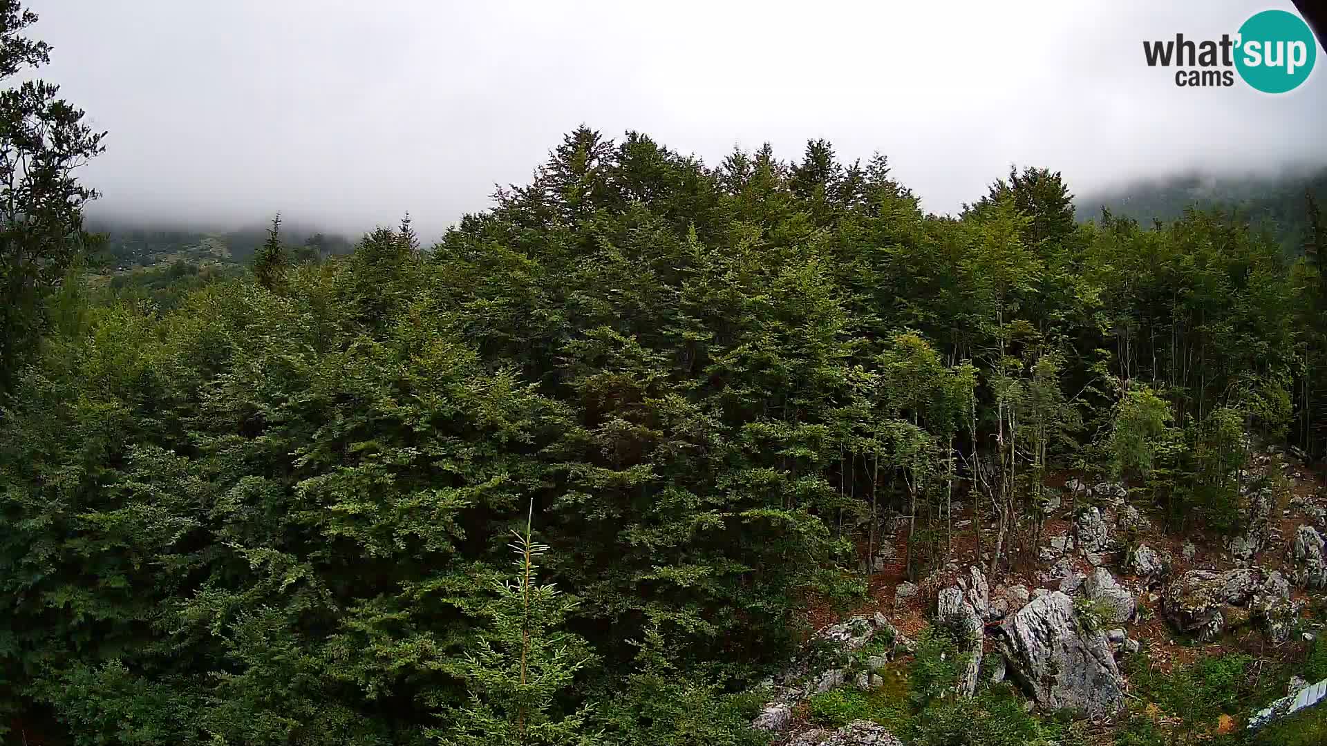 Webcam PLANINA RAZOR (1315) | Blick auf Vogel und Globoko