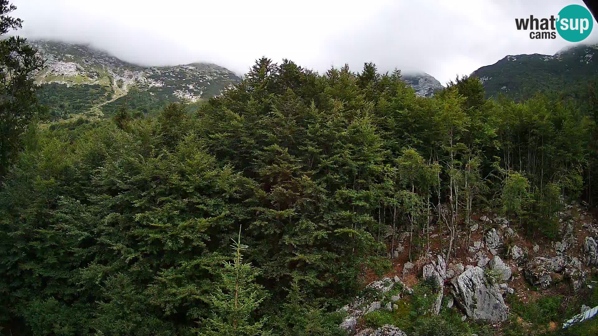 PLANINA RAZOR webcam (1315) | view to Vogel and Globoko
