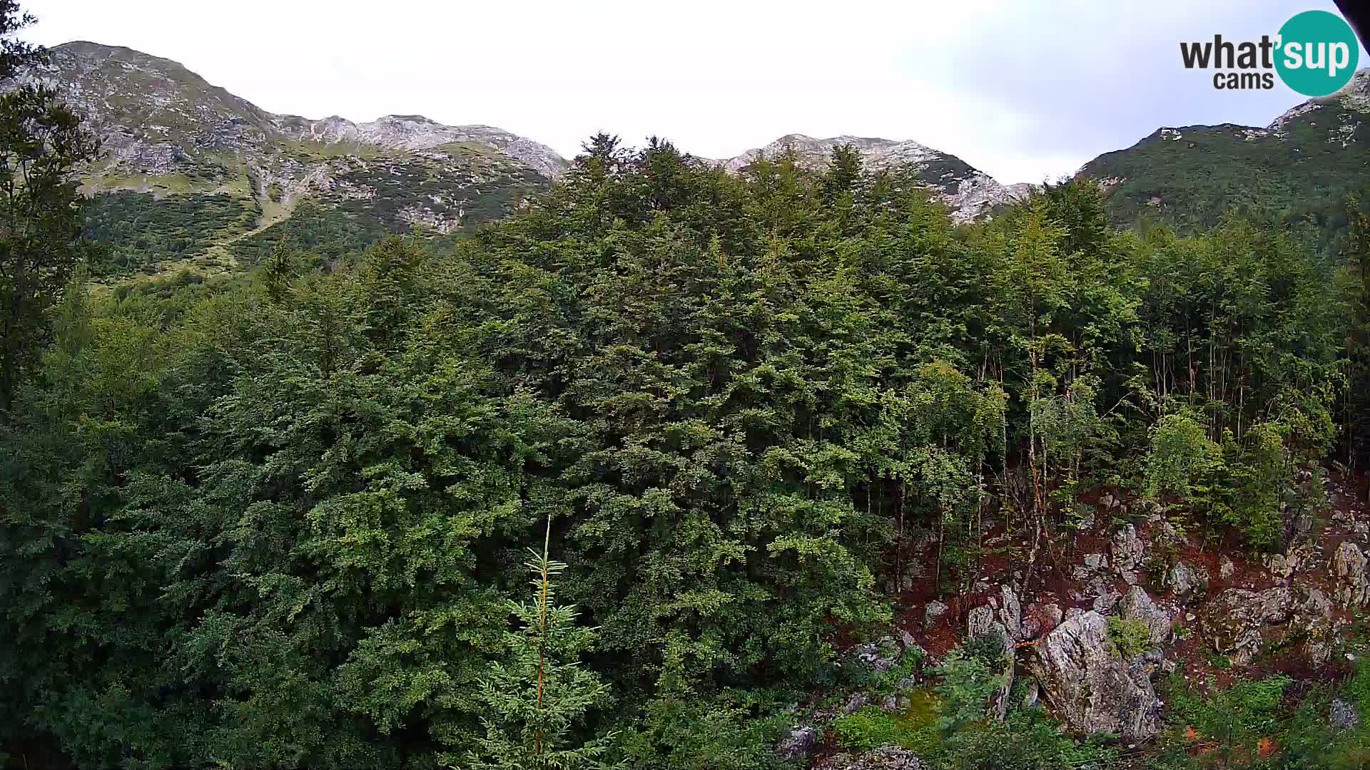 Cámara web PLANINA RAZOR (1315) | vista a Vogel y Globoko