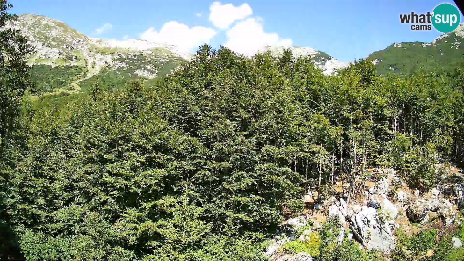 Webcam PLANINA RAZOR (1315) | Blick auf Vogel und Globoko