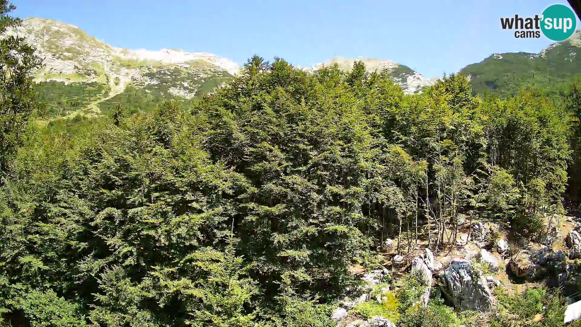 Cámara web PLANINA RAZOR (1315) | vista a Vogel y Globoko