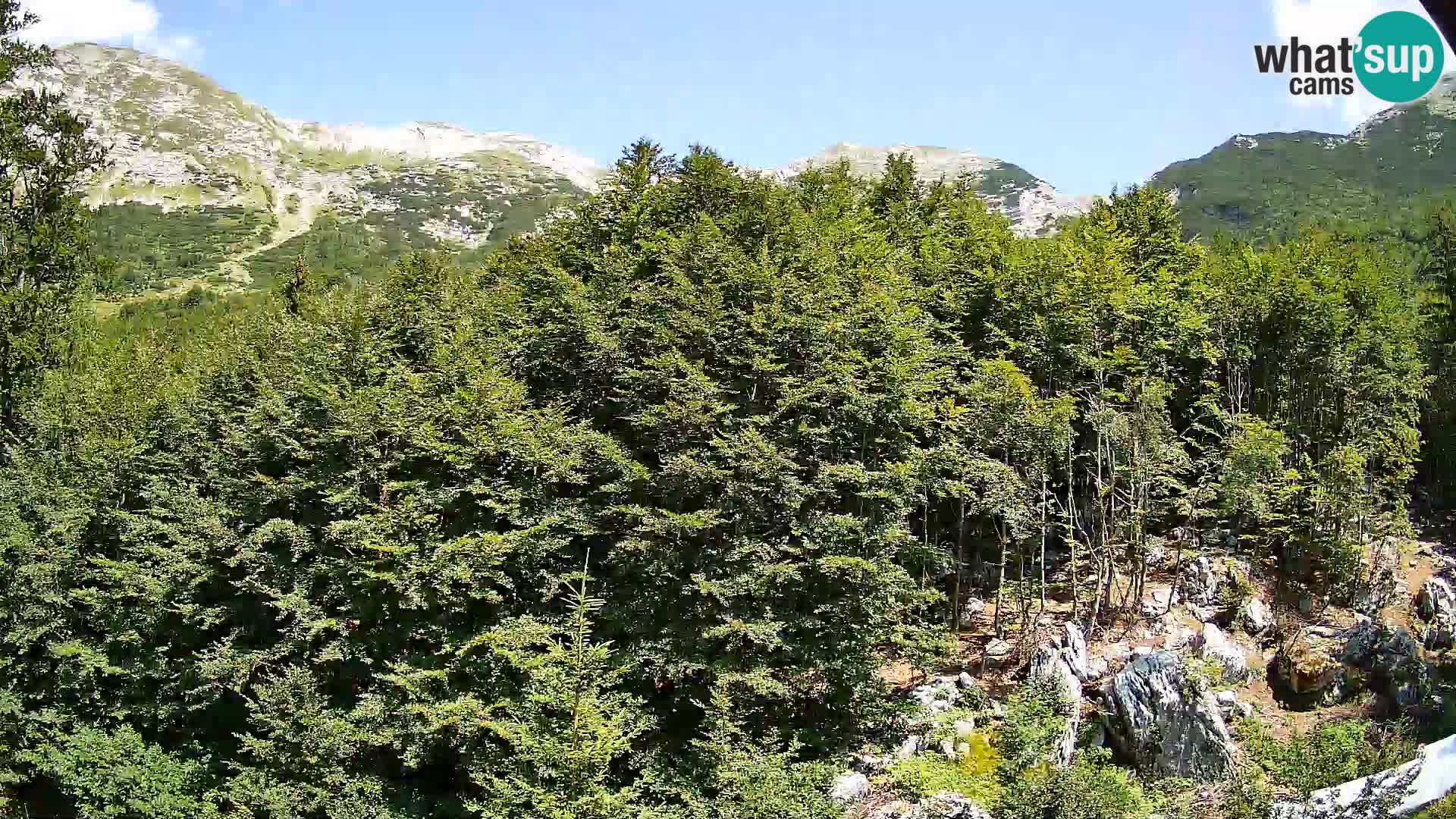 PLANINA RAZOR Live Cam (1315) | vista su Vogel e Globoko