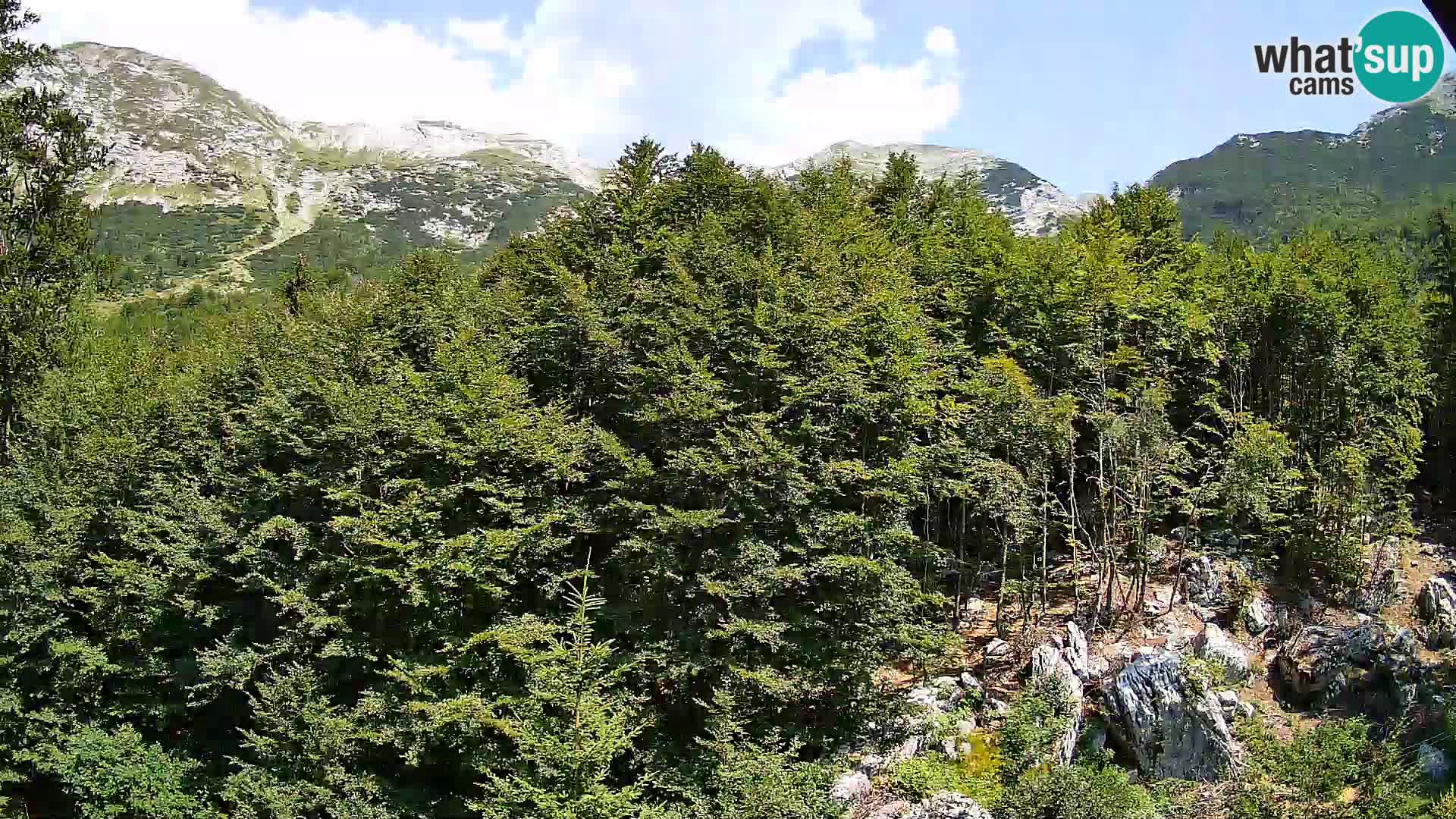 PLANINA RAZOR Live Cam (1315) | vista su Vogel e Globoko