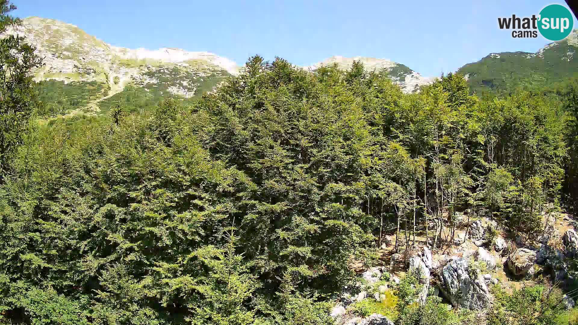 PLANINA RAZOR web kamera (1315) | pogled na Vogel i Globoko