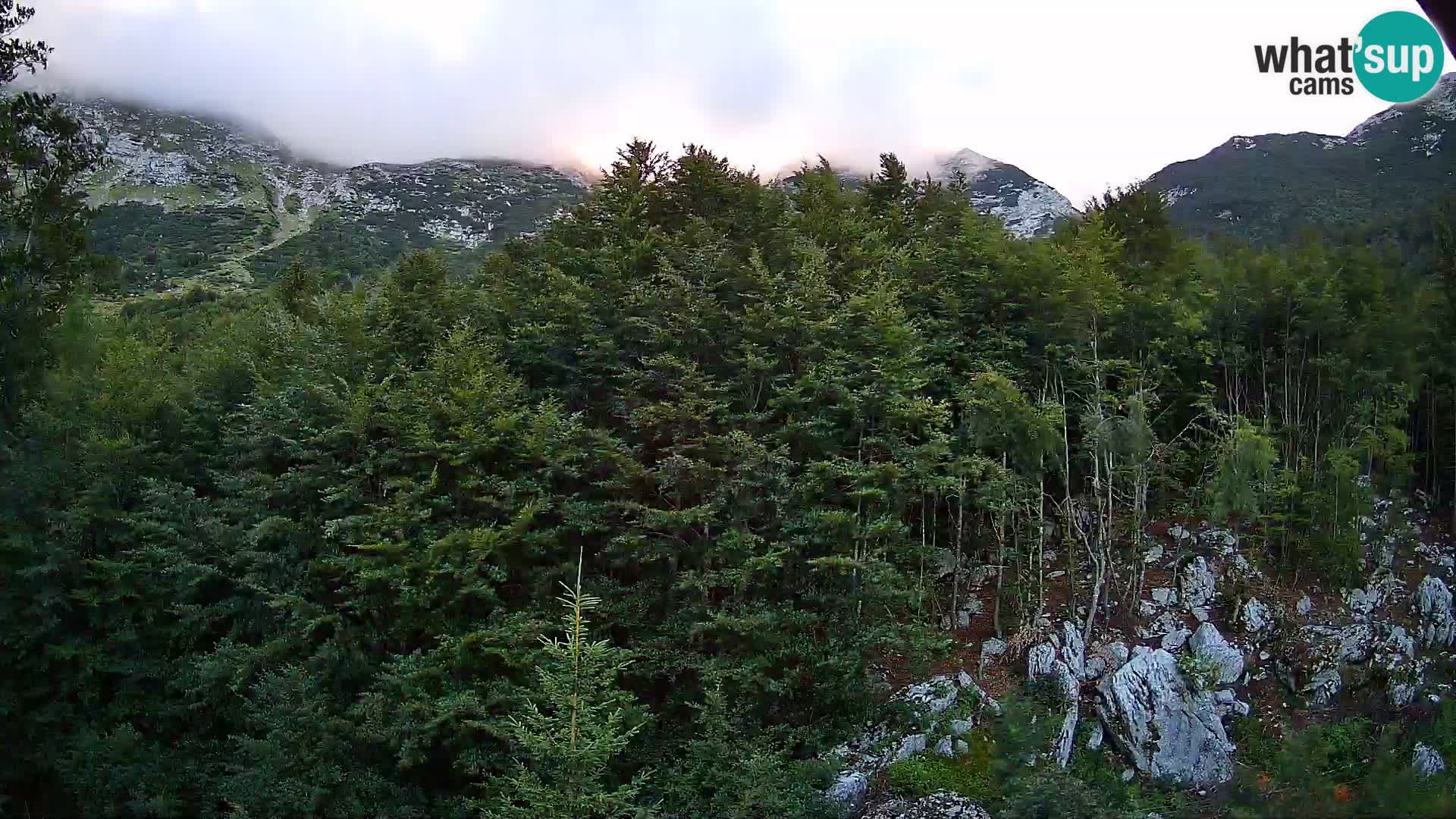 PLANINA RAZOR Live Cam (1315) | vista su Vogel e Globoko