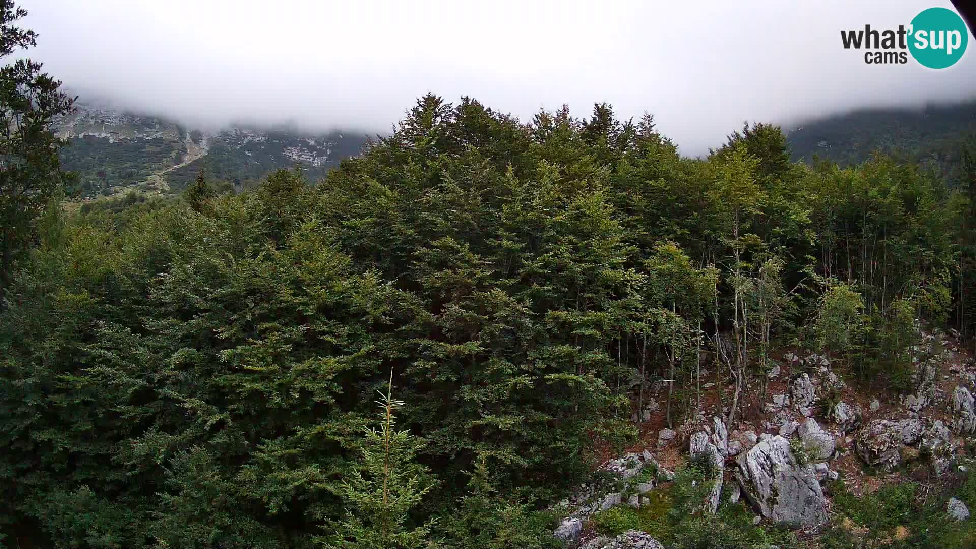 PLANINA RAZOR webcam (1315) | view to Vogel and Globoko