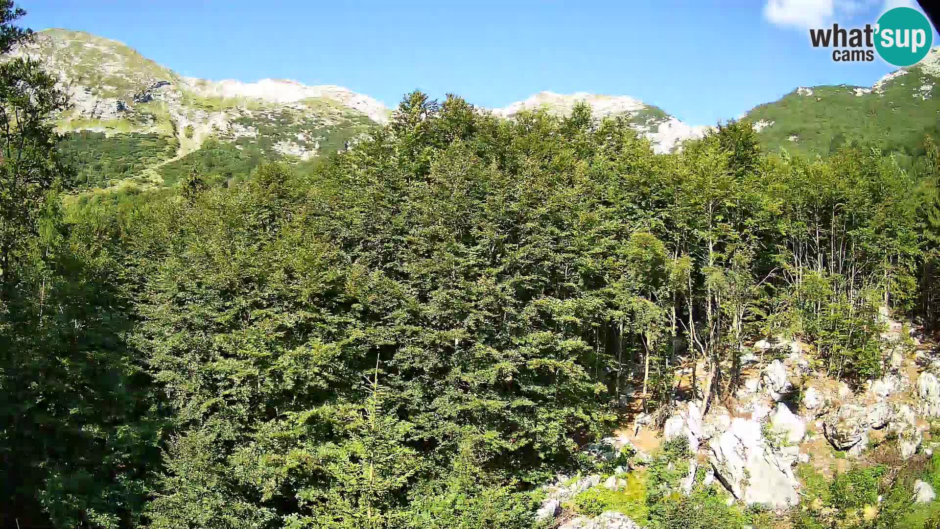 Cámara web PLANINA RAZOR (1315) | vista a Vogel y Globoko