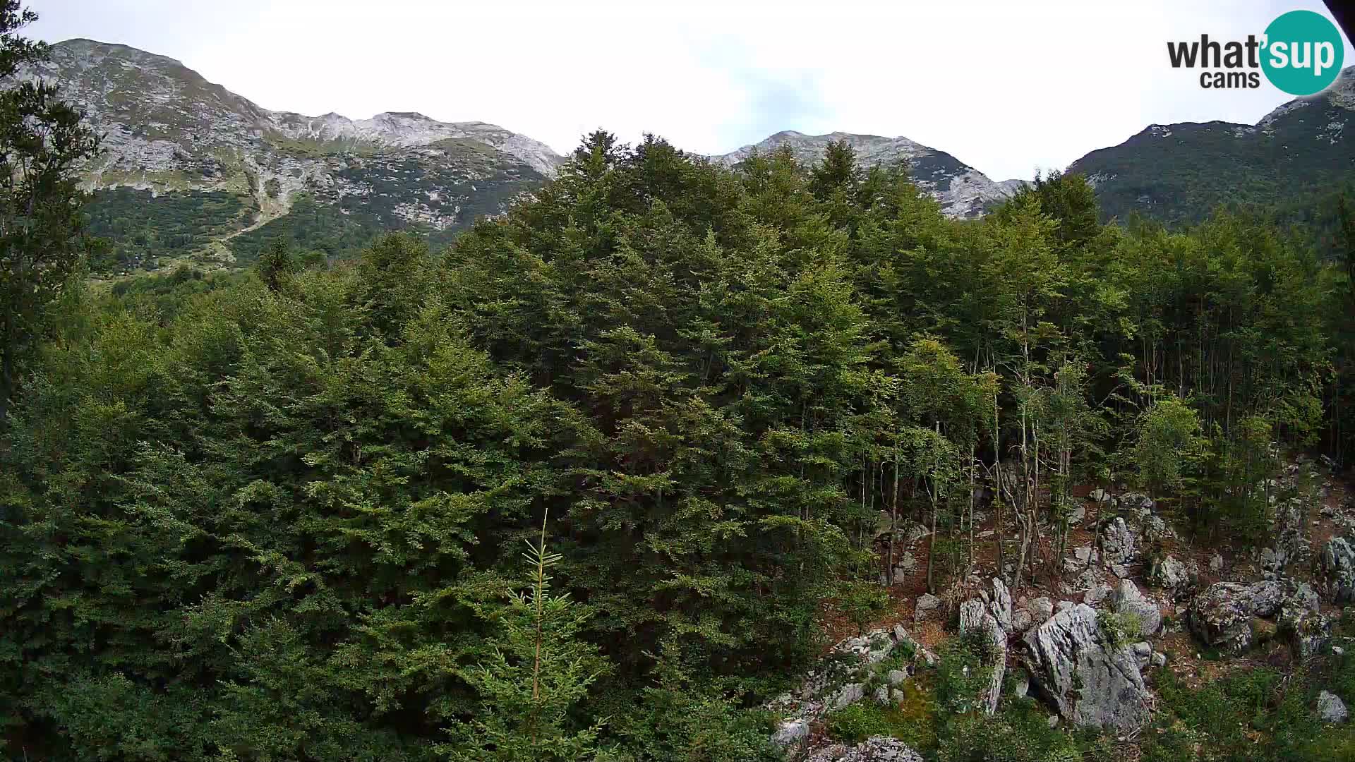 PLANINA RAZOR Live Cam (1315) | vista su Vogel e Globoko