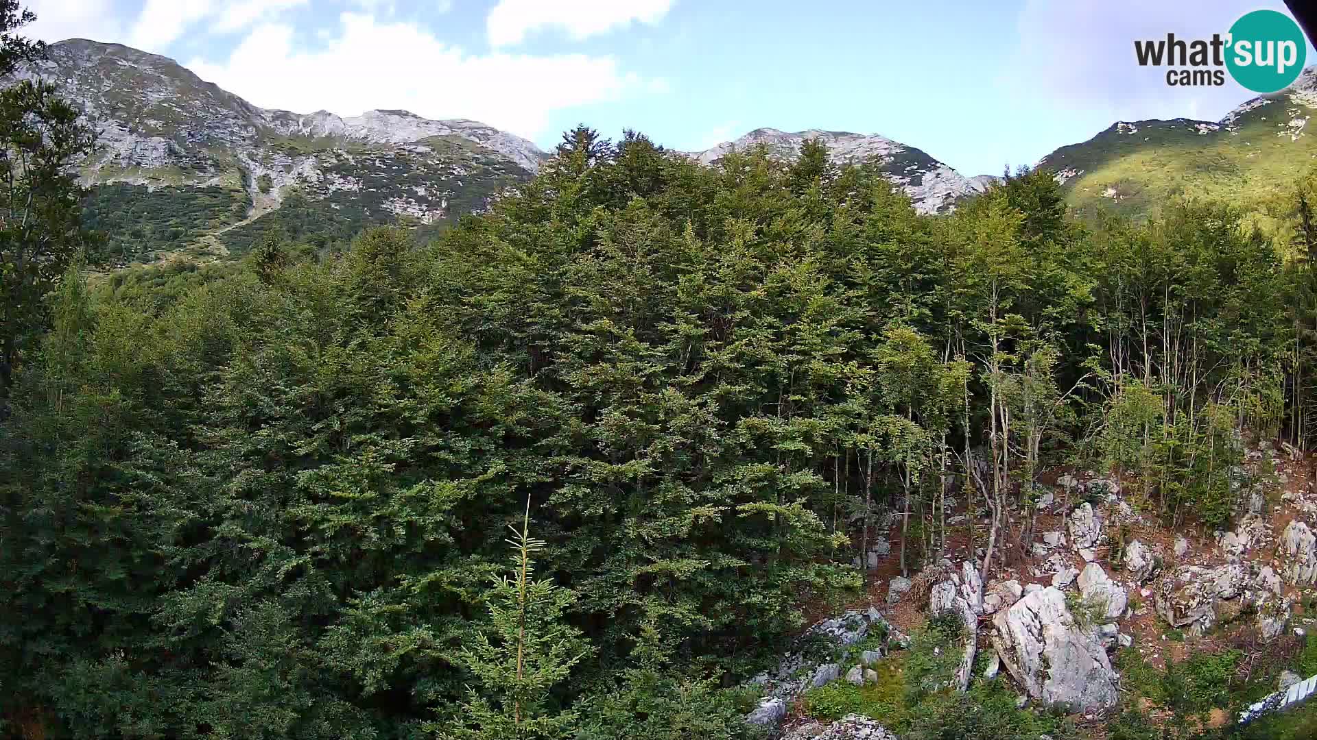 Cámara web PLANINA RAZOR (1315) | vista a Vogel y Globoko