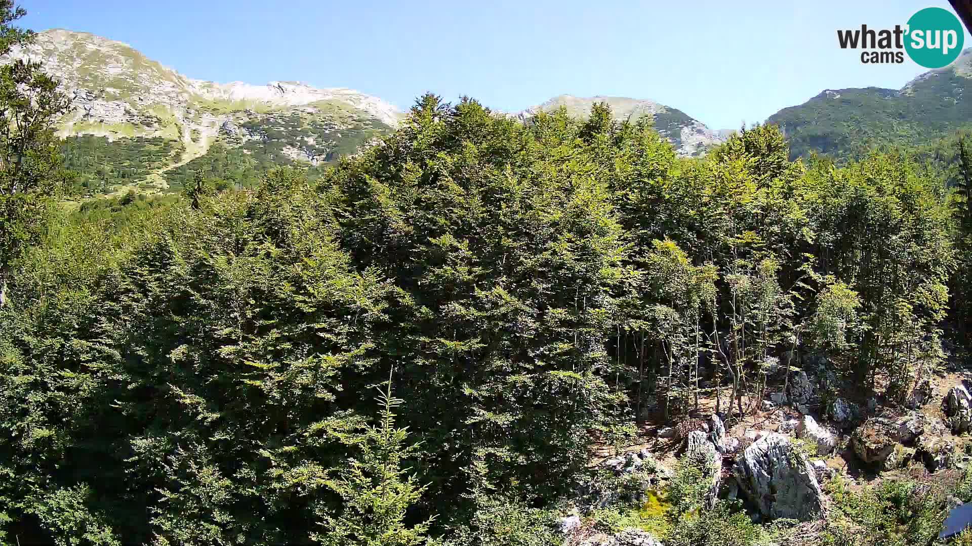 Webcam PLANINA RAZOR (1315) | Blick auf Vogel und Globoko