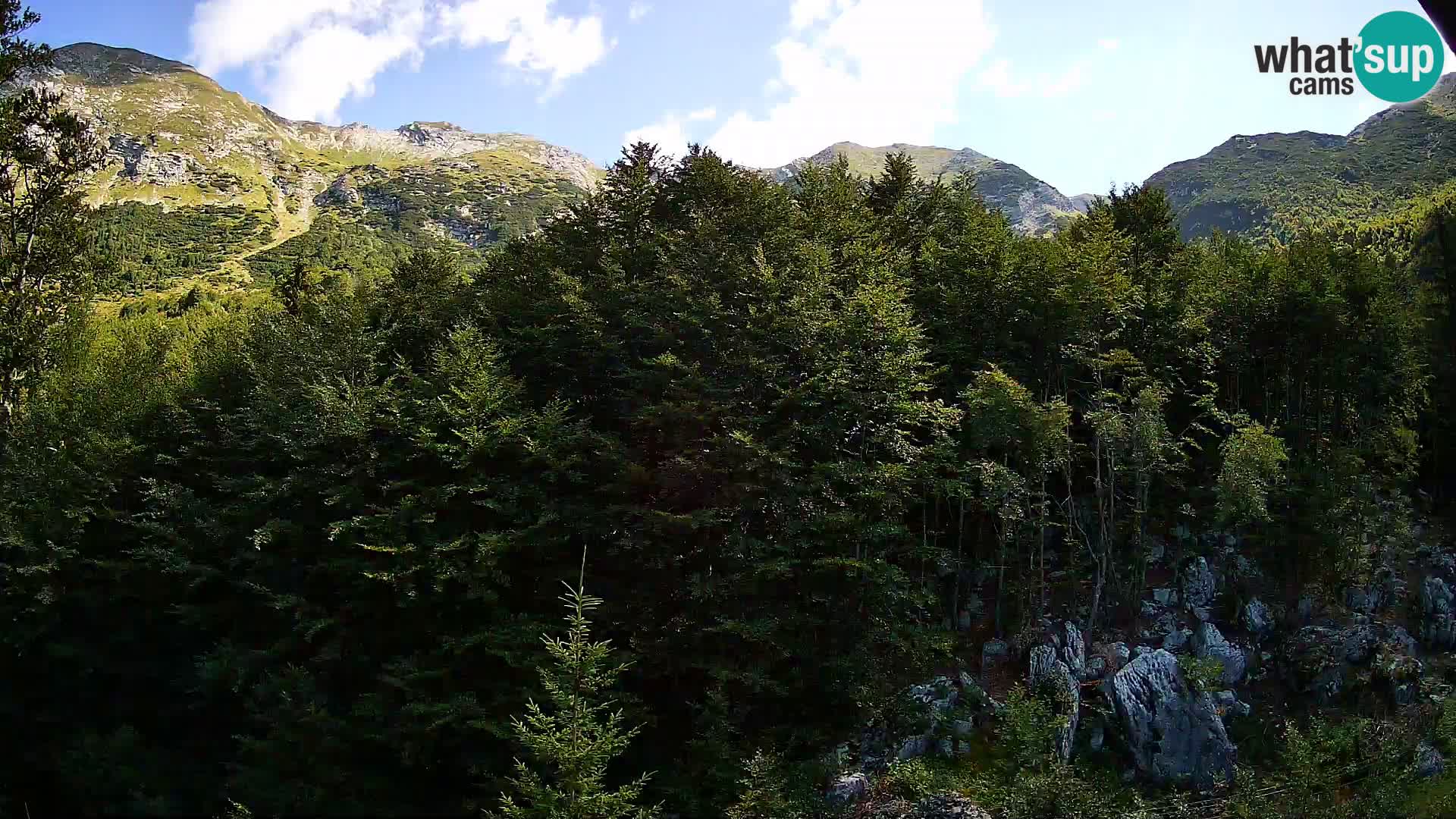 PLANINA RAZOR Live Cam (1315) | vista su Vogel e Globoko