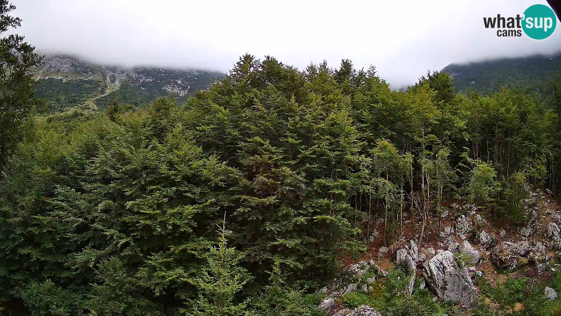 PLANINA RAZOR kamera (1315) | pogled na Vogel in Globoko