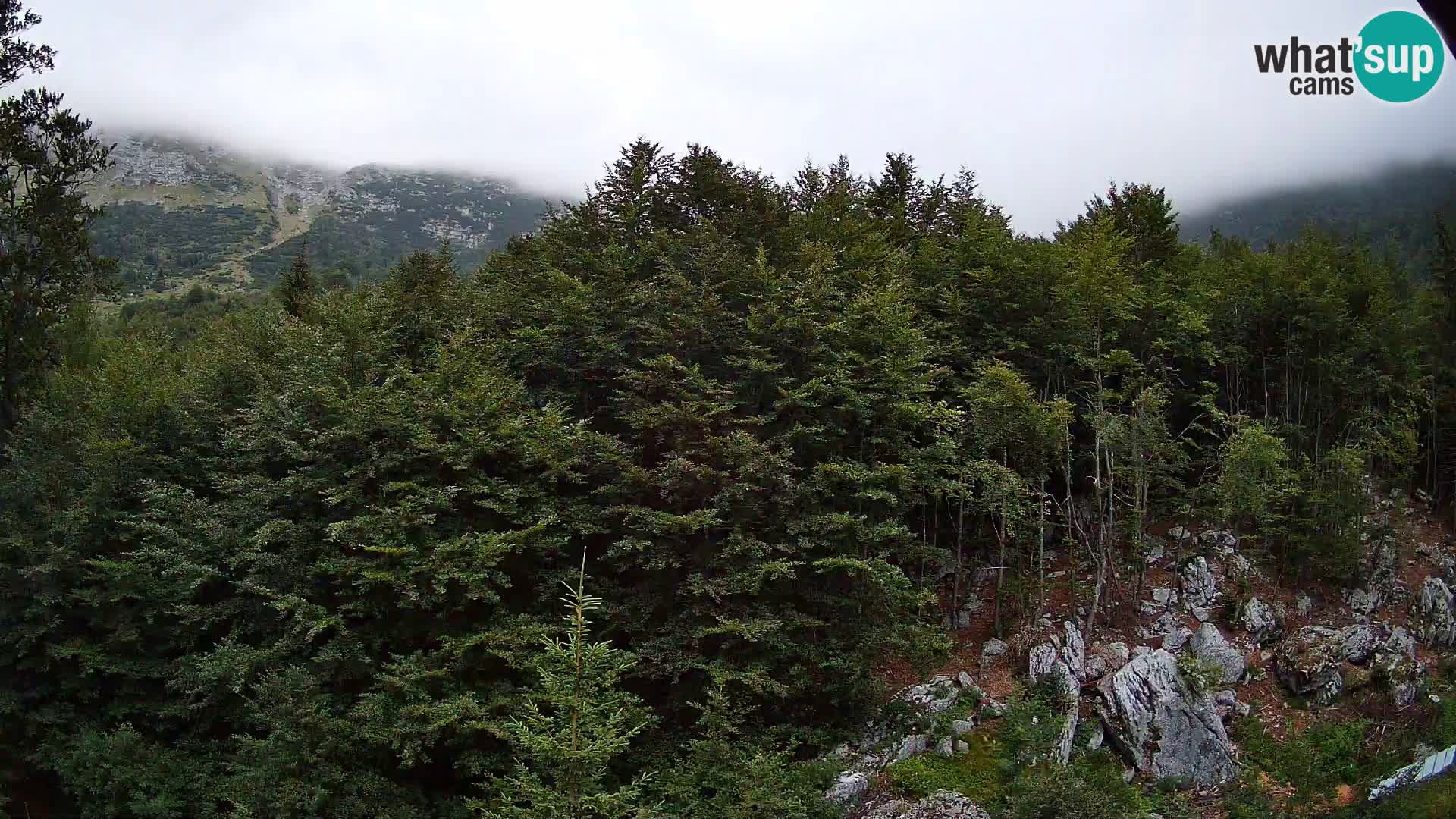 PLANINA RAZOR kamera (1315) | pogled na Vogel in Globoko