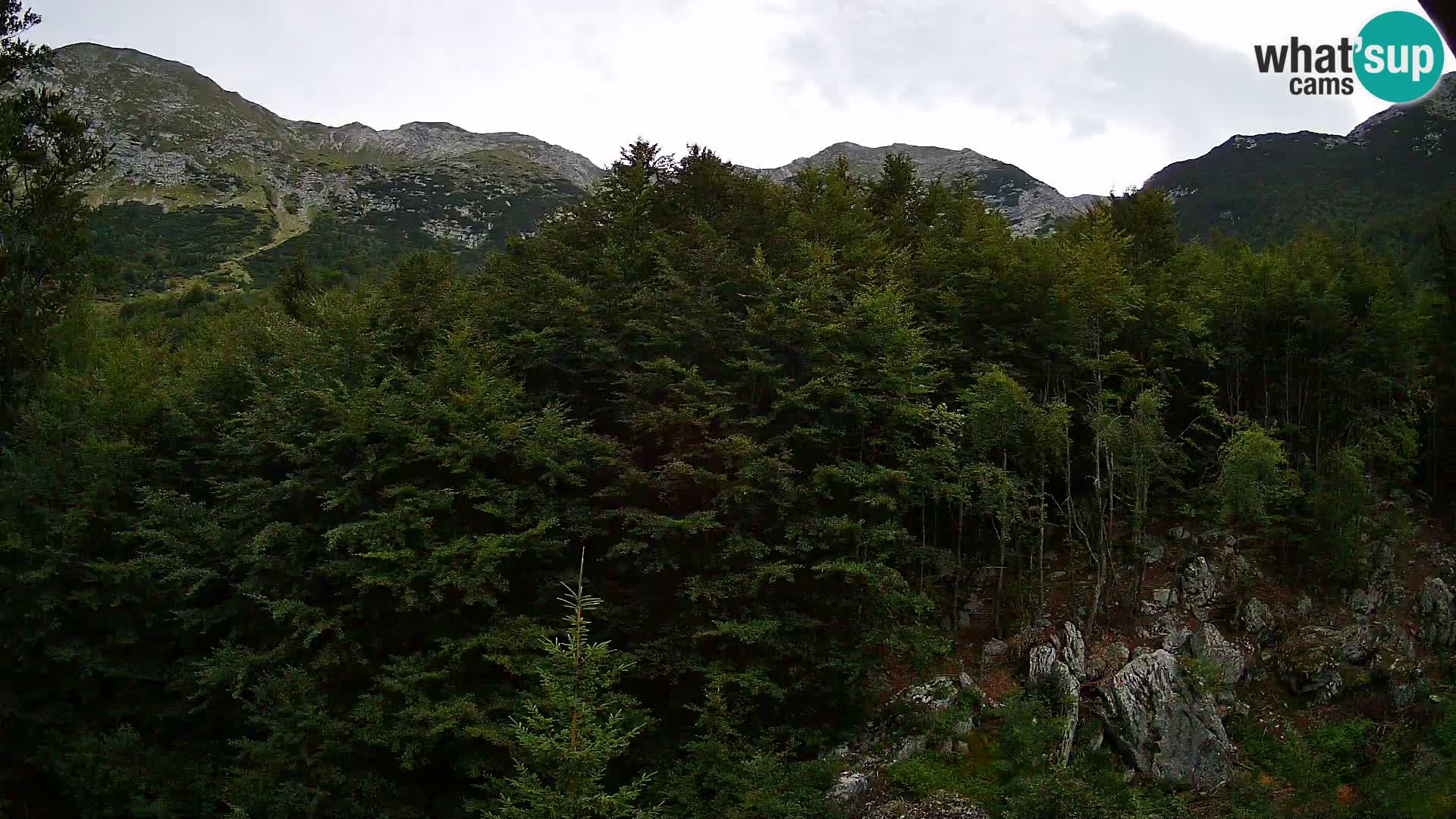 Webcam PLANINA RAZOR (1315) | Blick auf Vogel und Globoko