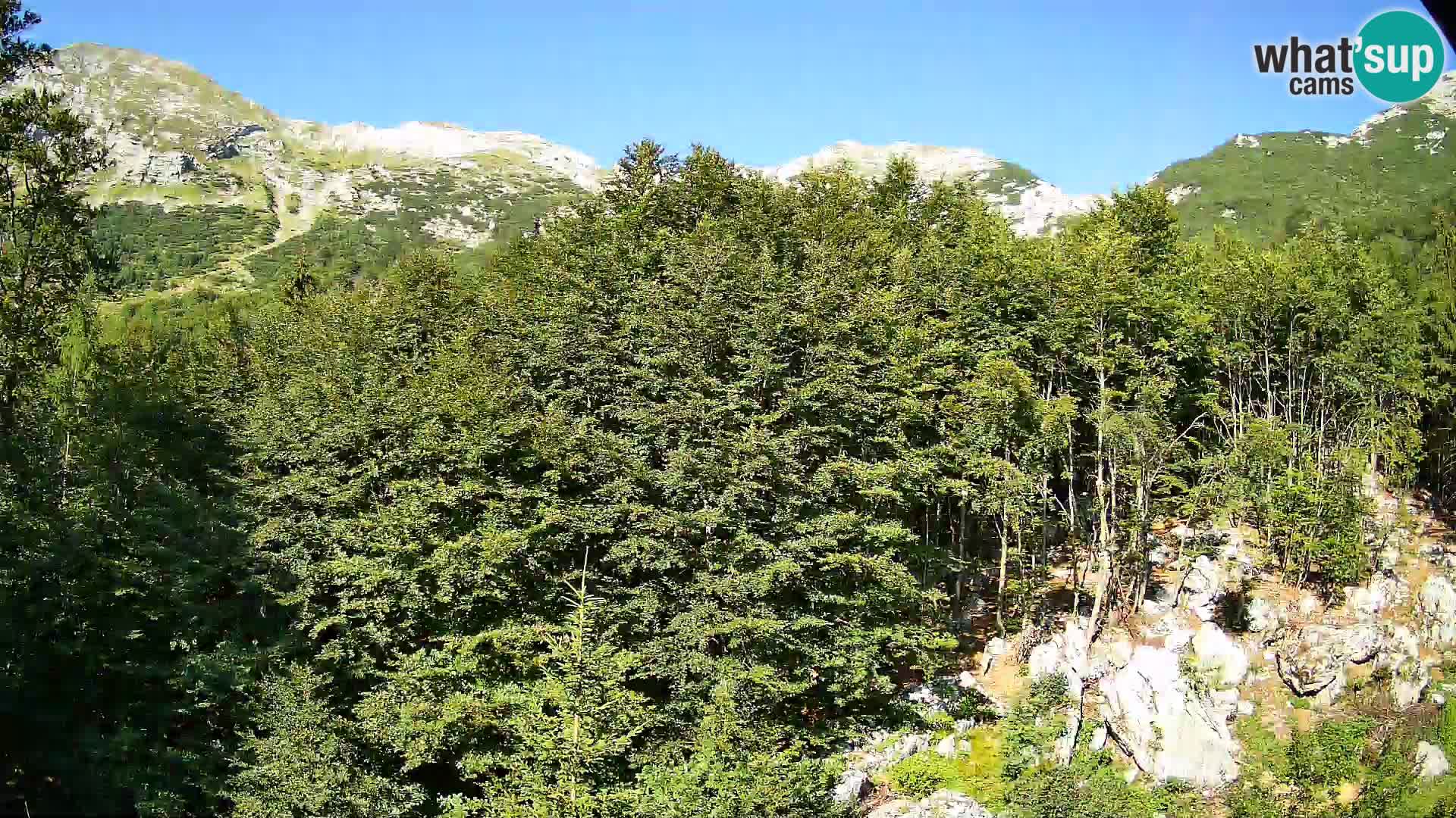 PLANINA RAZOR webcam (1315) | view to Vogel and Globoko