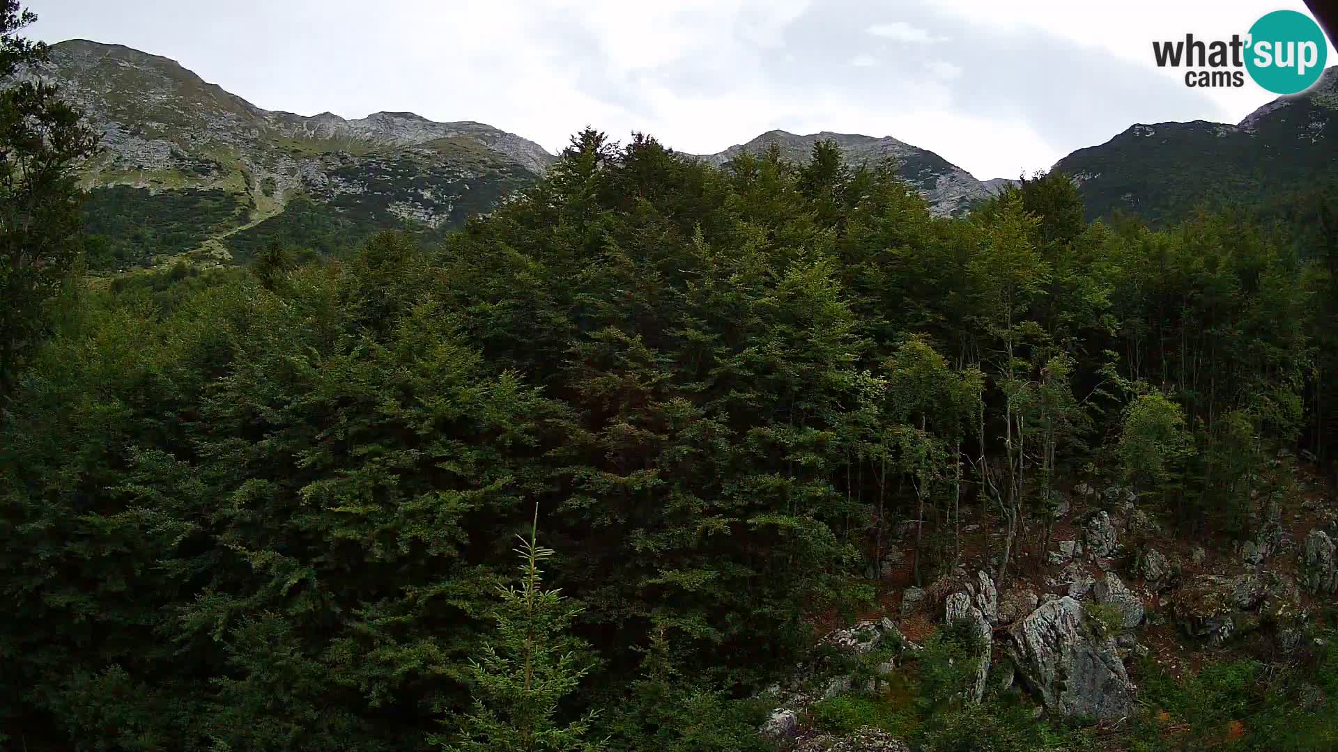 Livecam PLANINA RAZOR (1315) | vue sur Vogel et Globoko