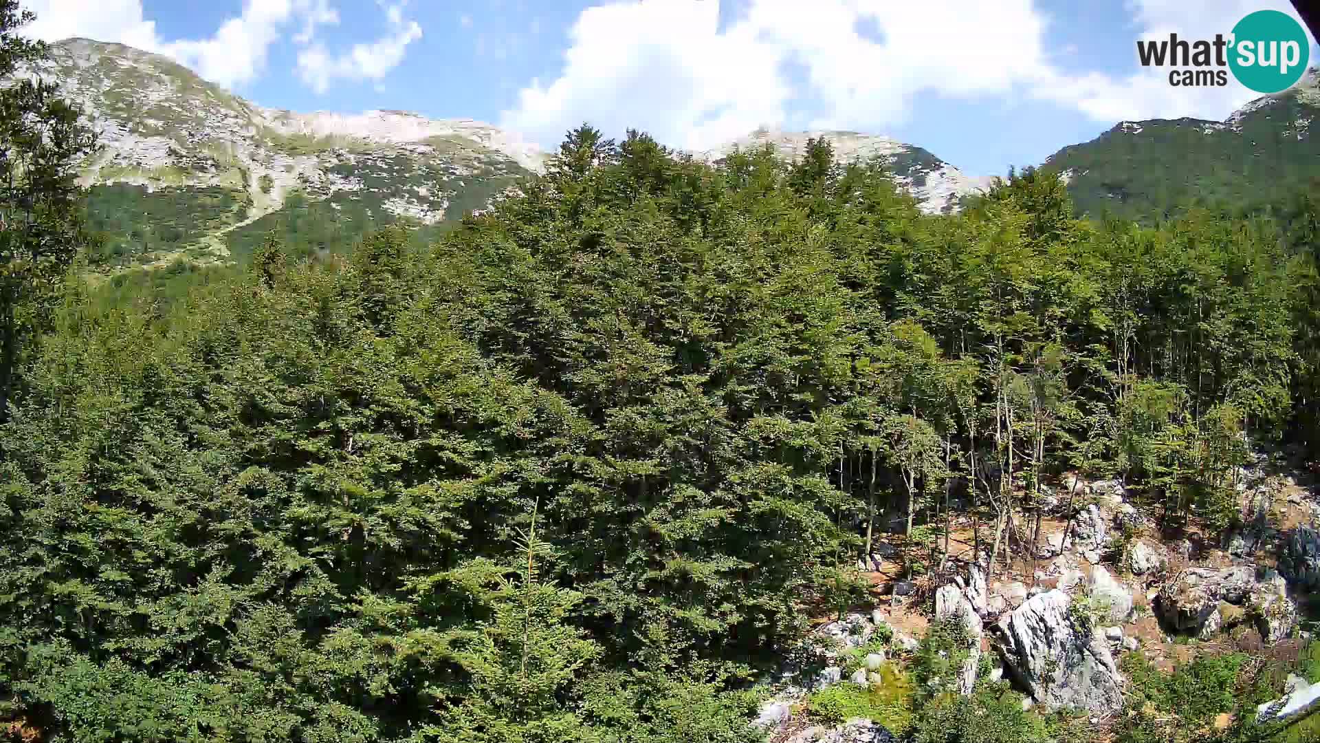 Cámara web PLANINA RAZOR (1315) | vista a Vogel y Globoko