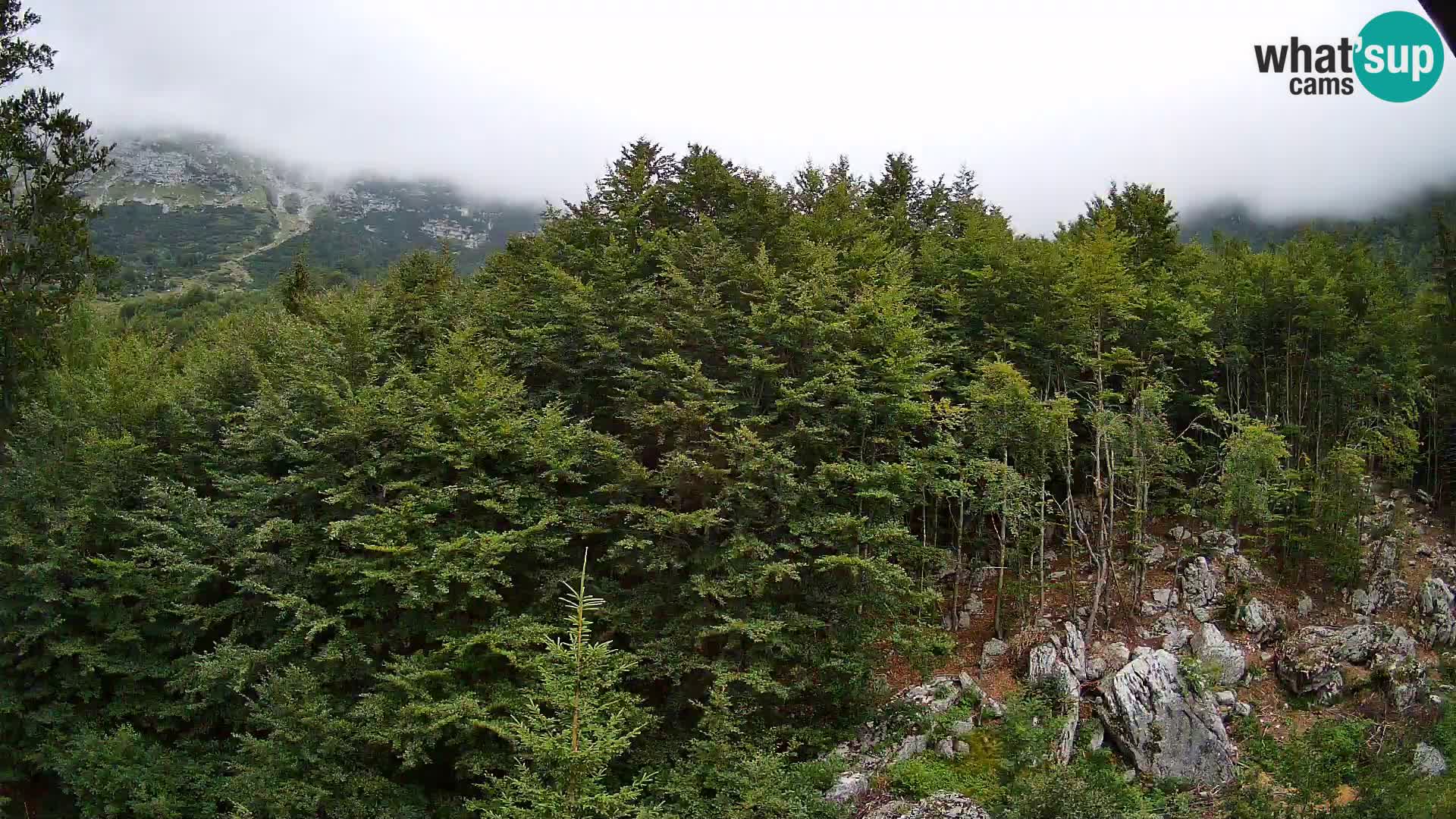 Webcam PLANINA RAZOR (1315) | Blick auf Vogel und Globoko