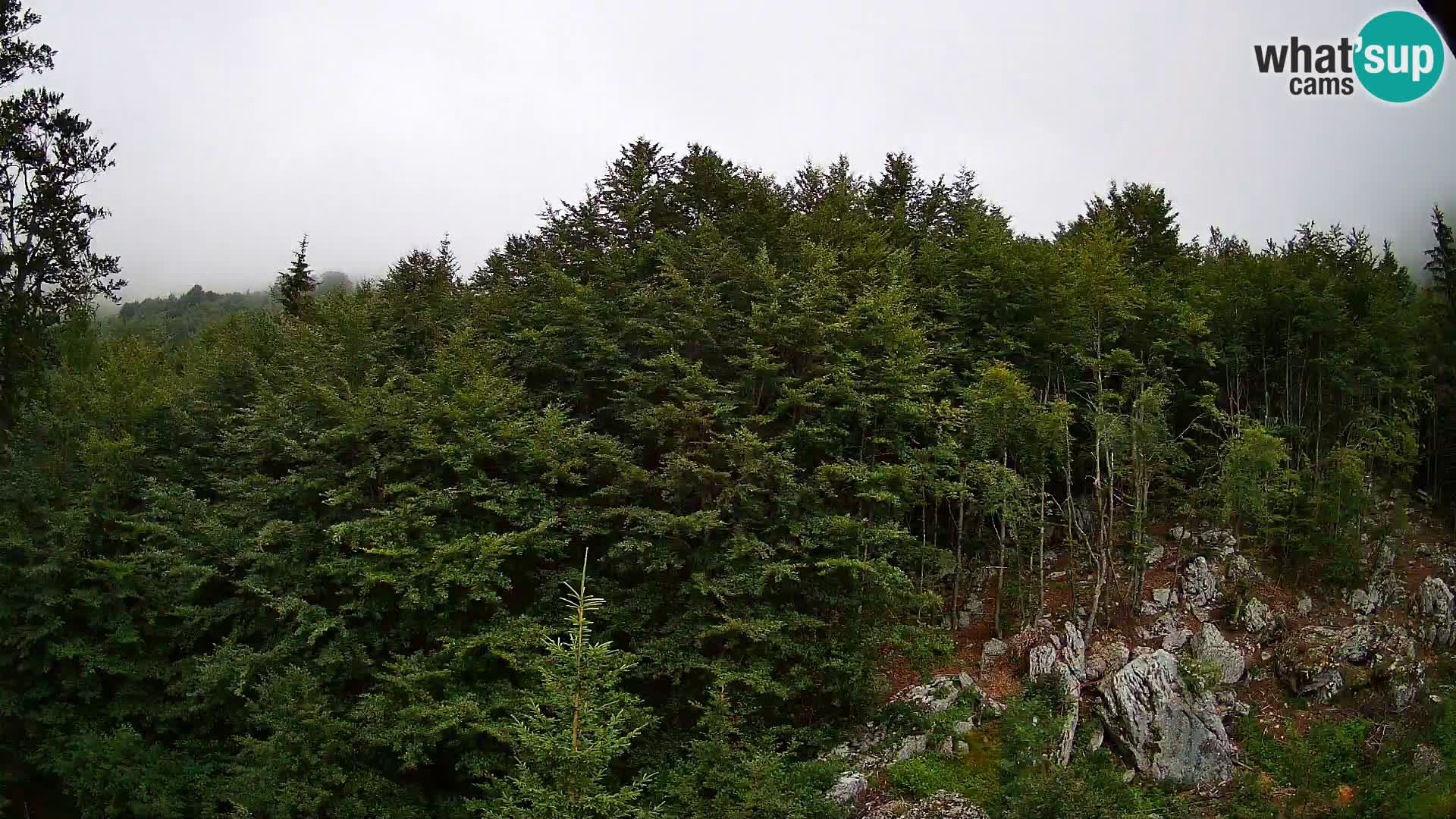 Webcam PLANINA RAZOR (1315) | Blick auf Vogel und Globoko