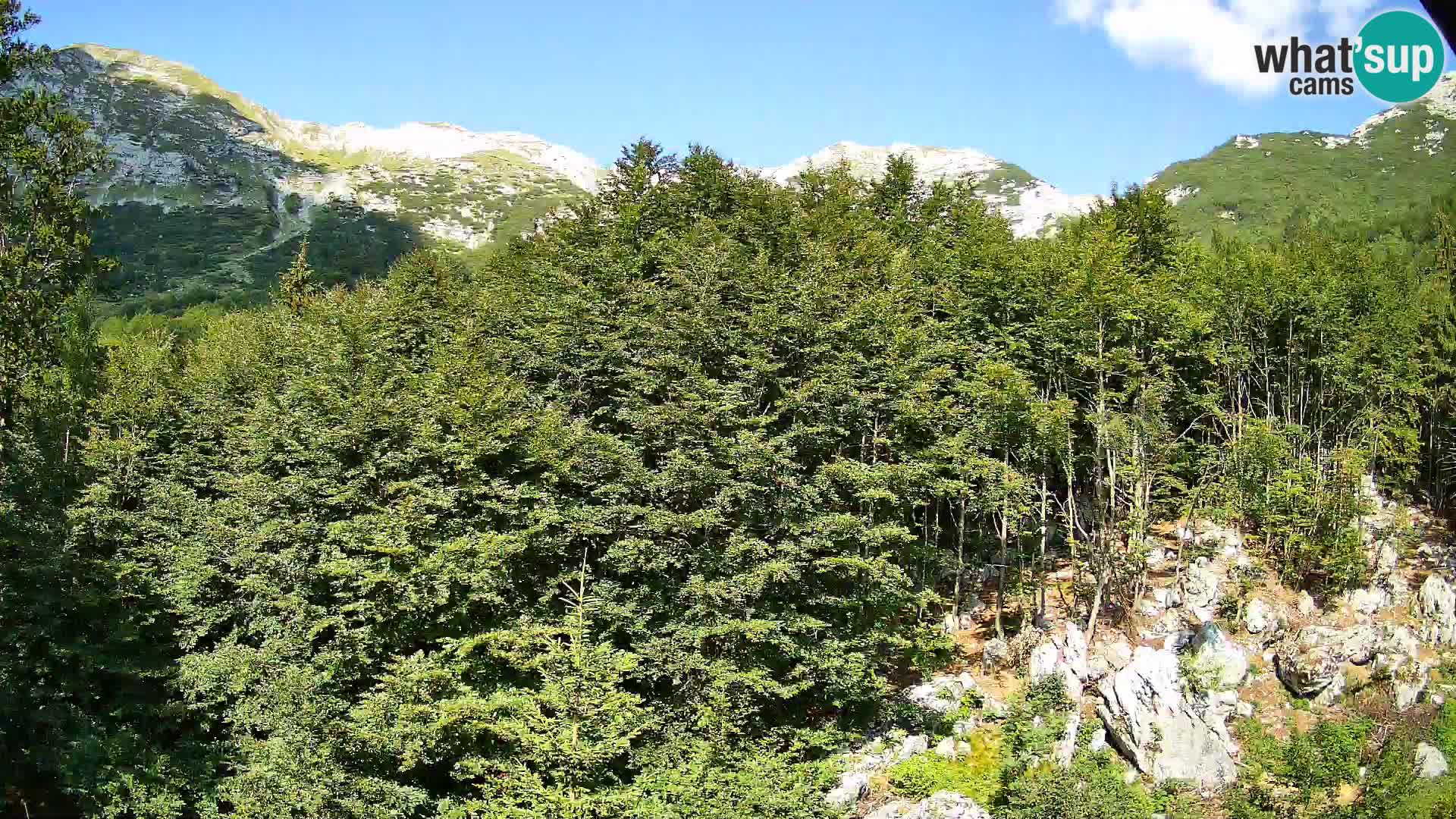 Webcam PLANINA RAZOR (1315) | Blick auf Vogel und Globoko