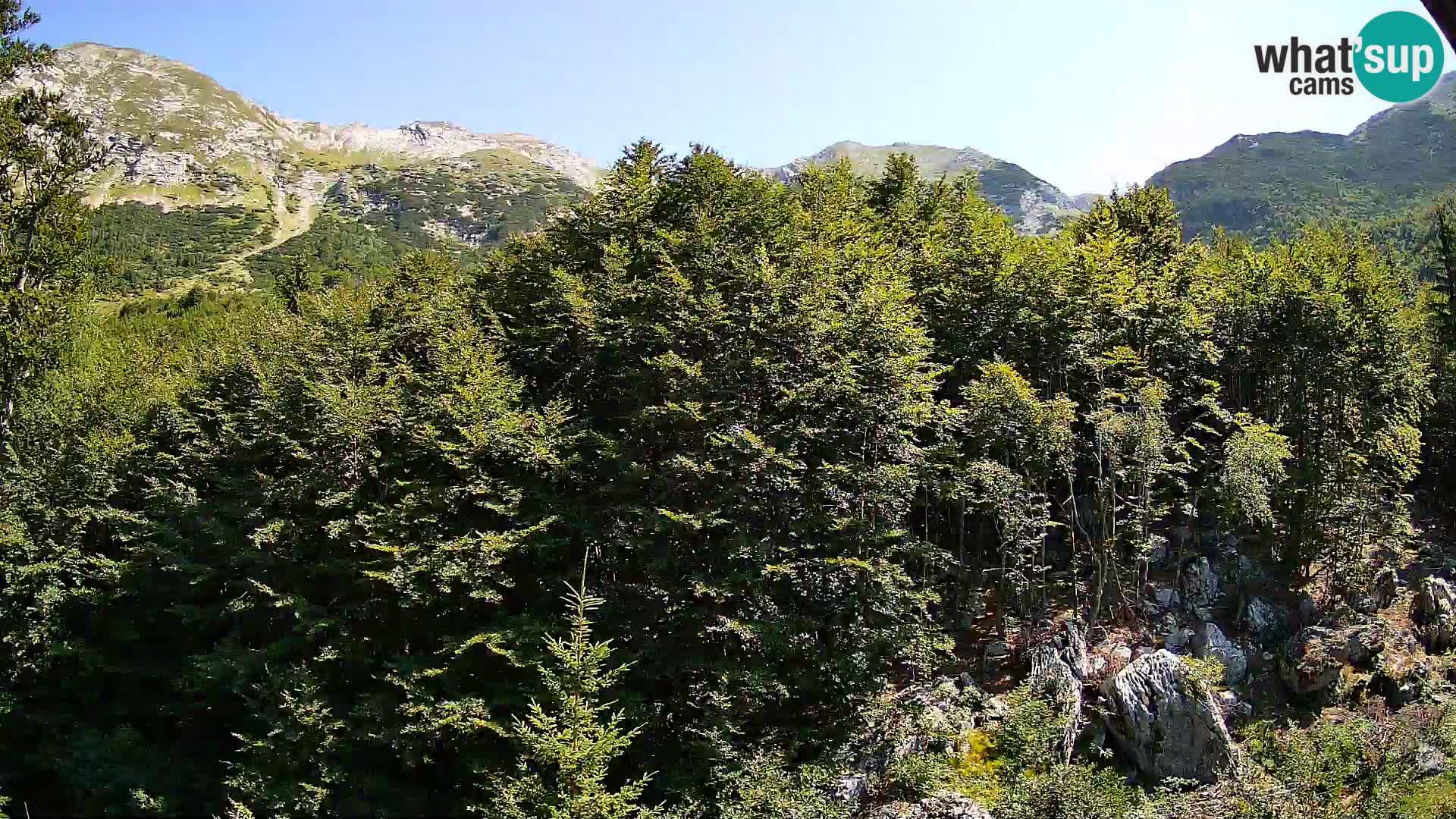 Livecam PLANINA RAZOR (1315) | vue sur Vogel et Globoko