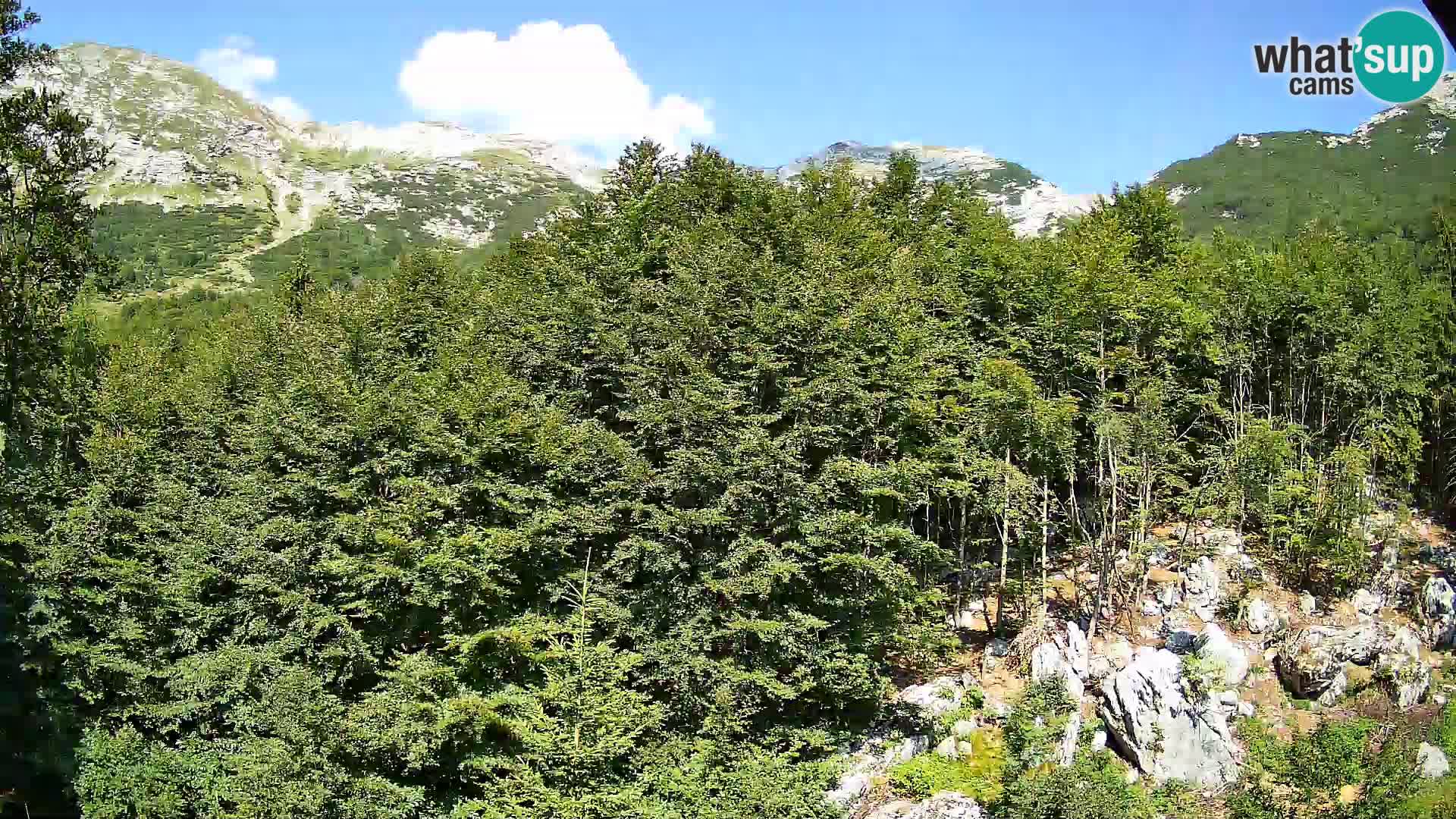 Webcam PLANINA RAZOR (1315) | Blick auf Vogel und Globoko
