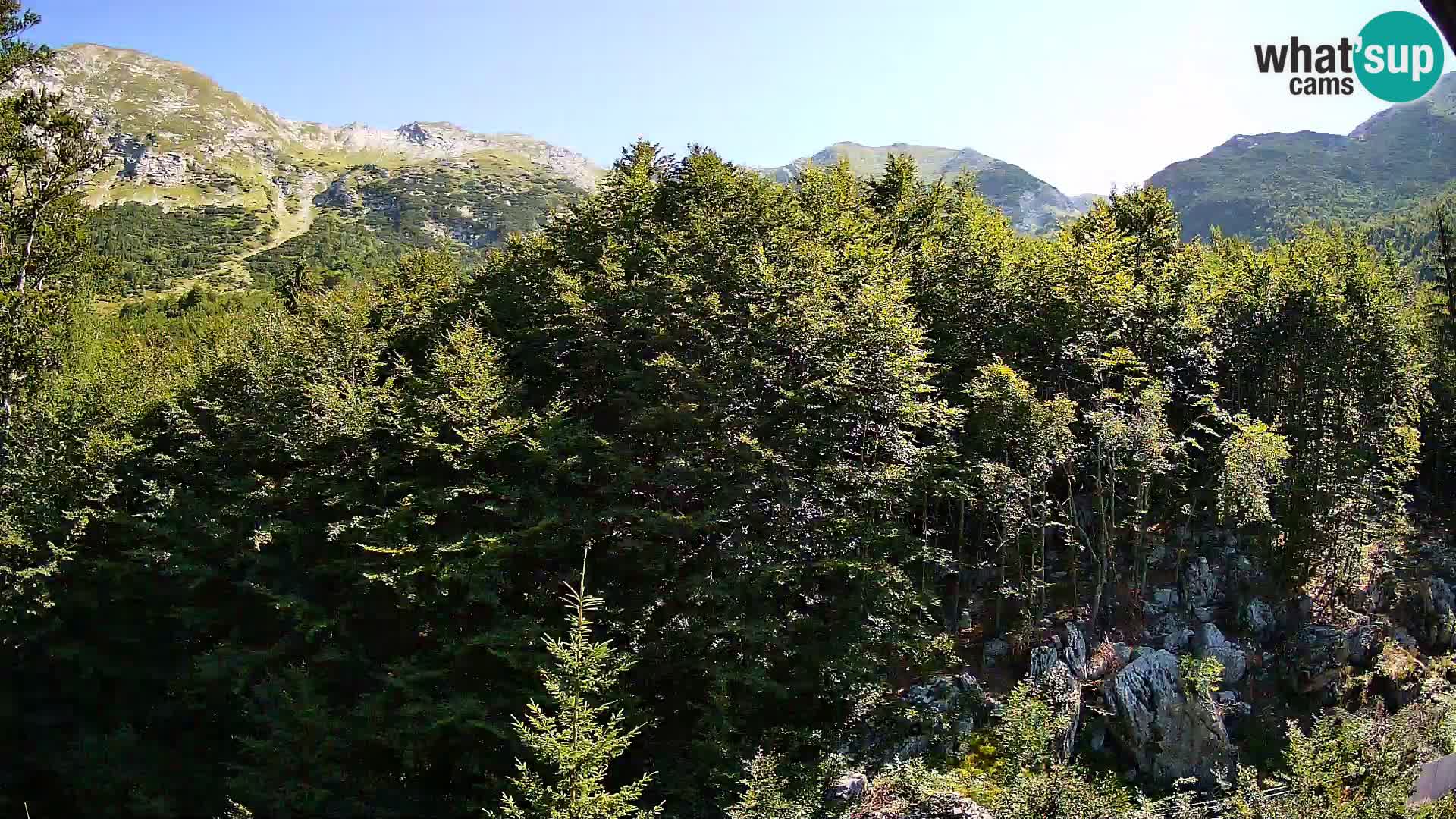 PLANINA RAZOR Live Cam (1315) | vista su Vogel e Globoko