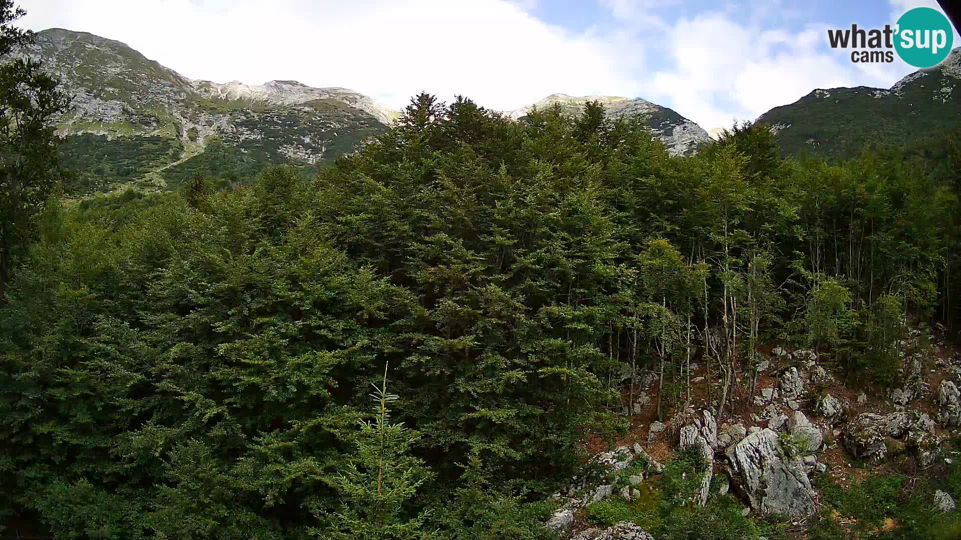 Webcam PLANINA RAZOR (1315) | Blick auf Vogel und Globoko