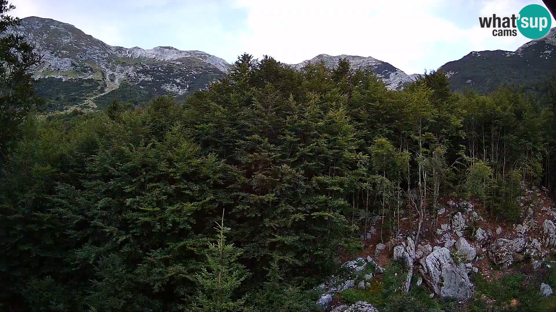 Webcam PLANINA RAZOR (1315) | Blick auf Vogel und Globoko