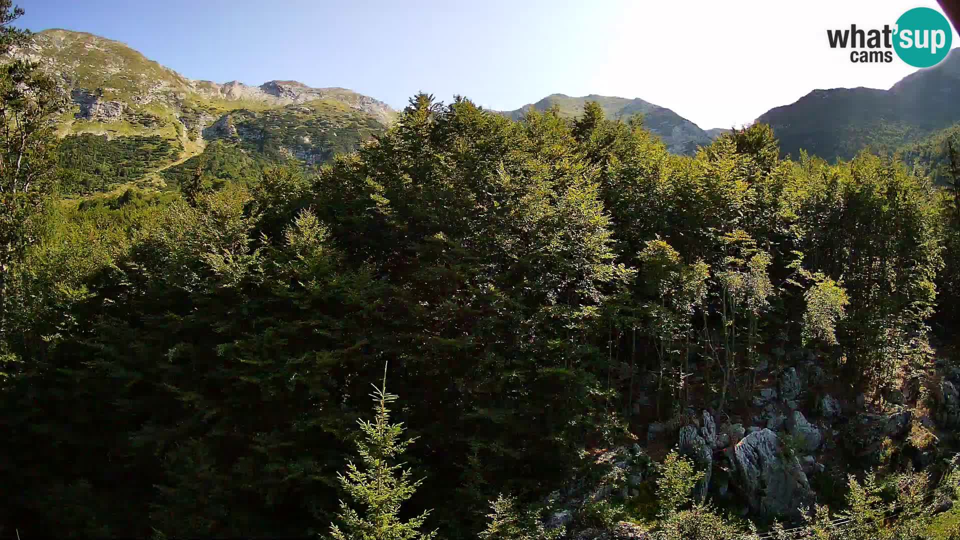 PLANINA RAZOR Live Cam (1315) | vista su Vogel e Globoko