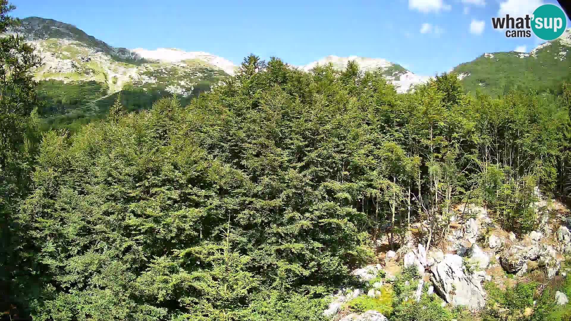 PLANINA RAZOR kamera (1315) | pogled na Vogel in Globoko