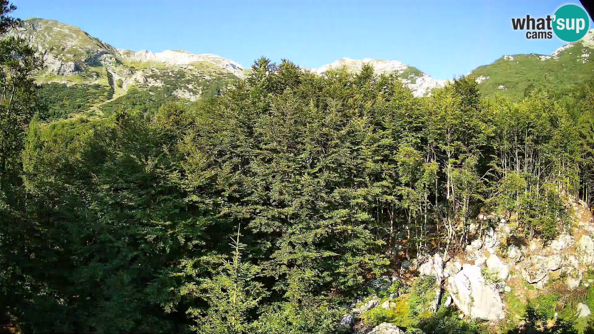 PLANINA RAZOR kamera (1315) | pogled na Vogel in Globoko