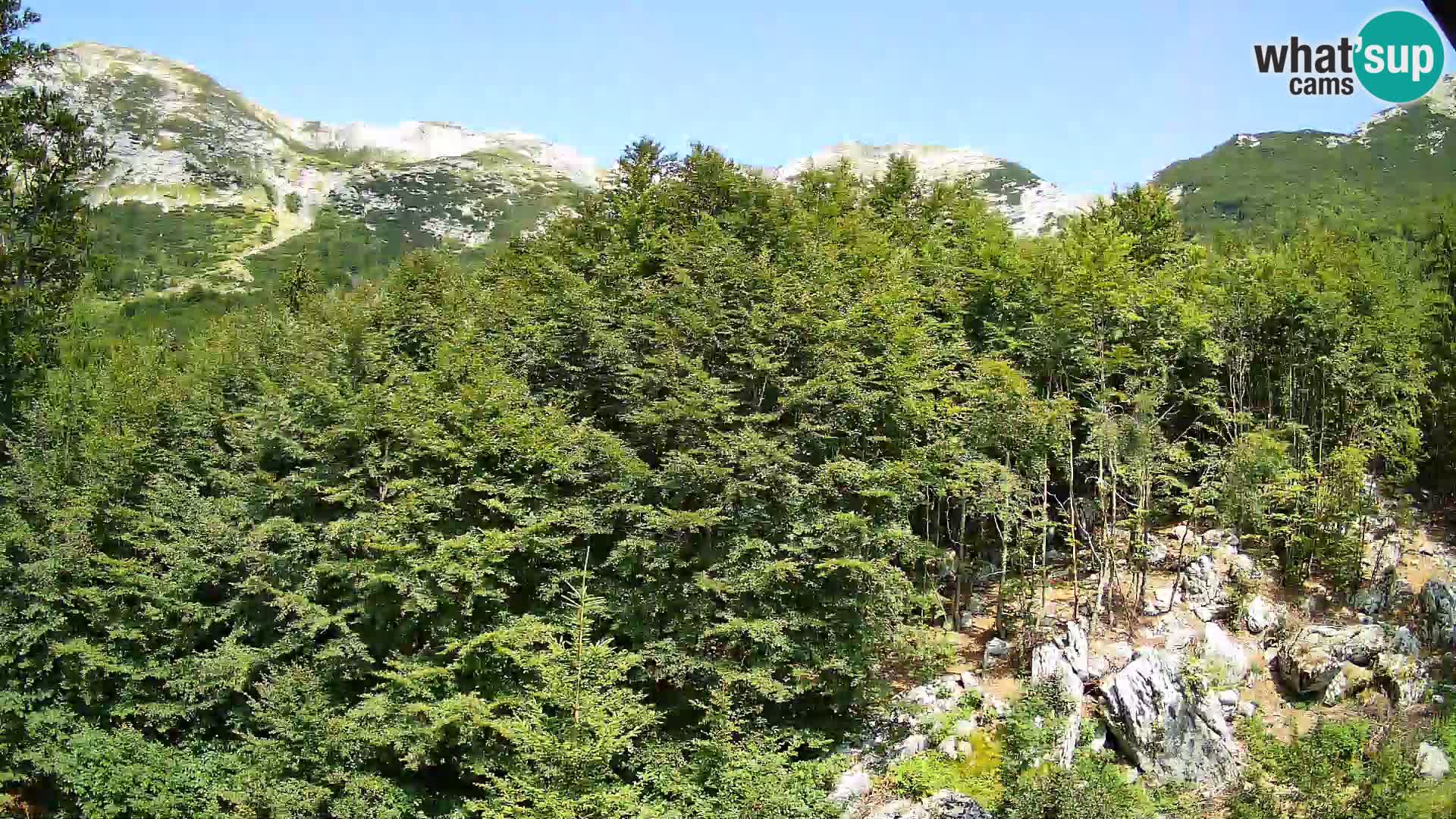 Webcam PLANINA RAZOR (1315) | Blick auf Vogel und Globoko