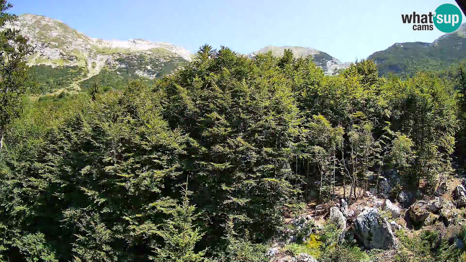 PLANINA RAZOR webcam (1315) | view to Vogel and Globoko