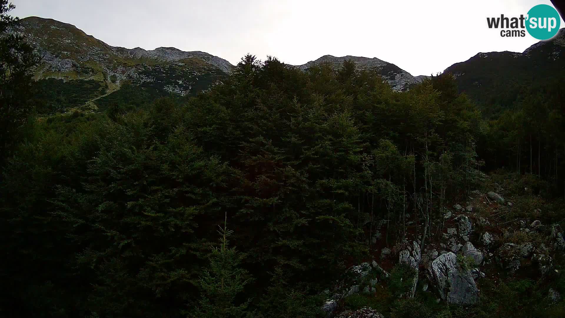 PLANINA RAZOR kamera (1315) | pogled na Vogel in Globoko