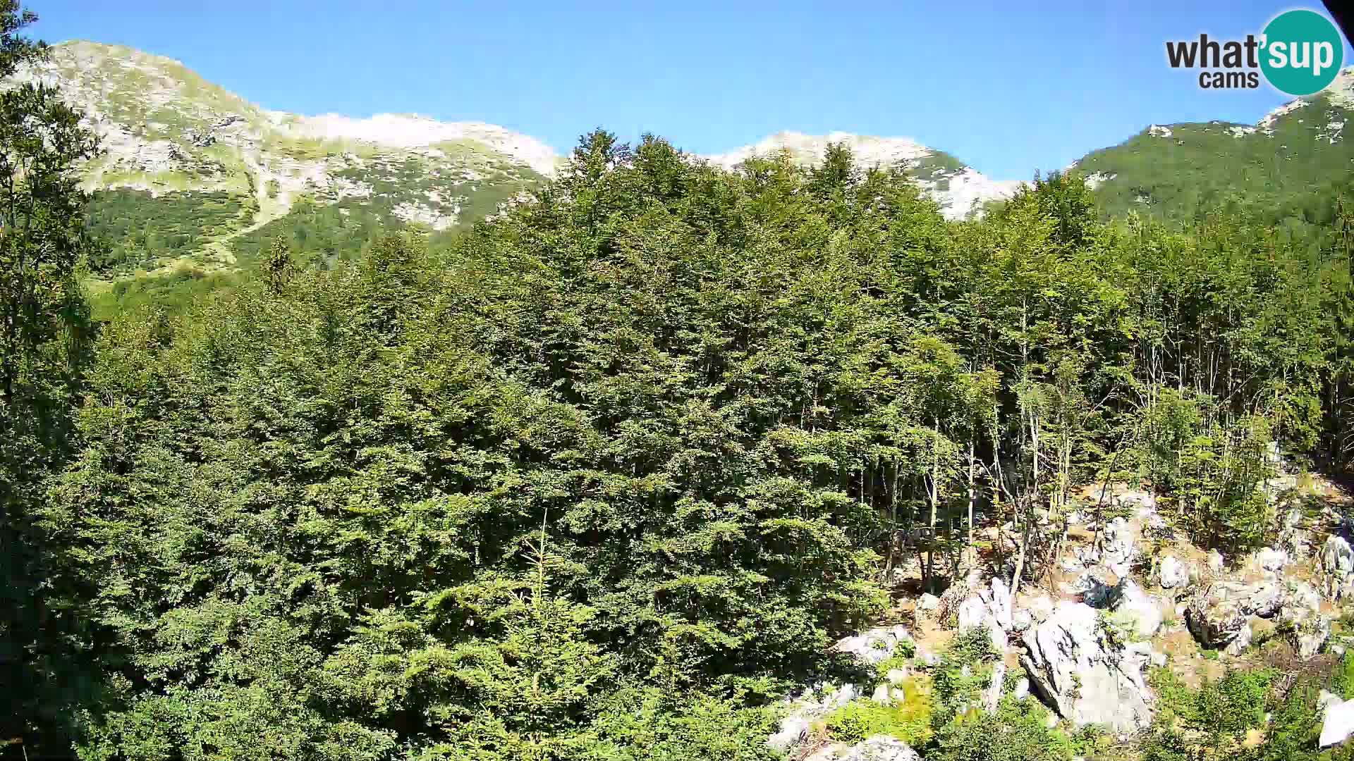 Livecam PLANINA RAZOR (1315) | vue sur Vogel et Globoko